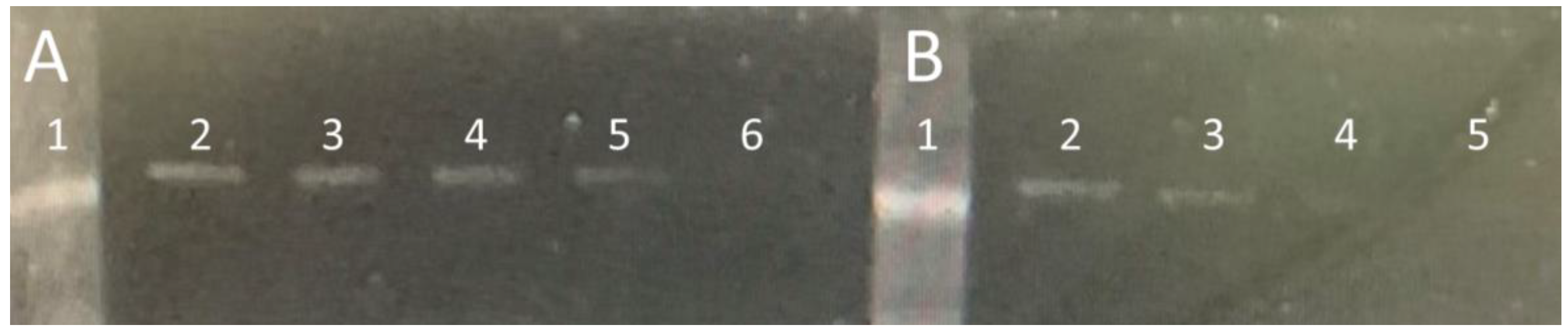 Molecules 25 01248 g006 Molecules 25 01248 g006