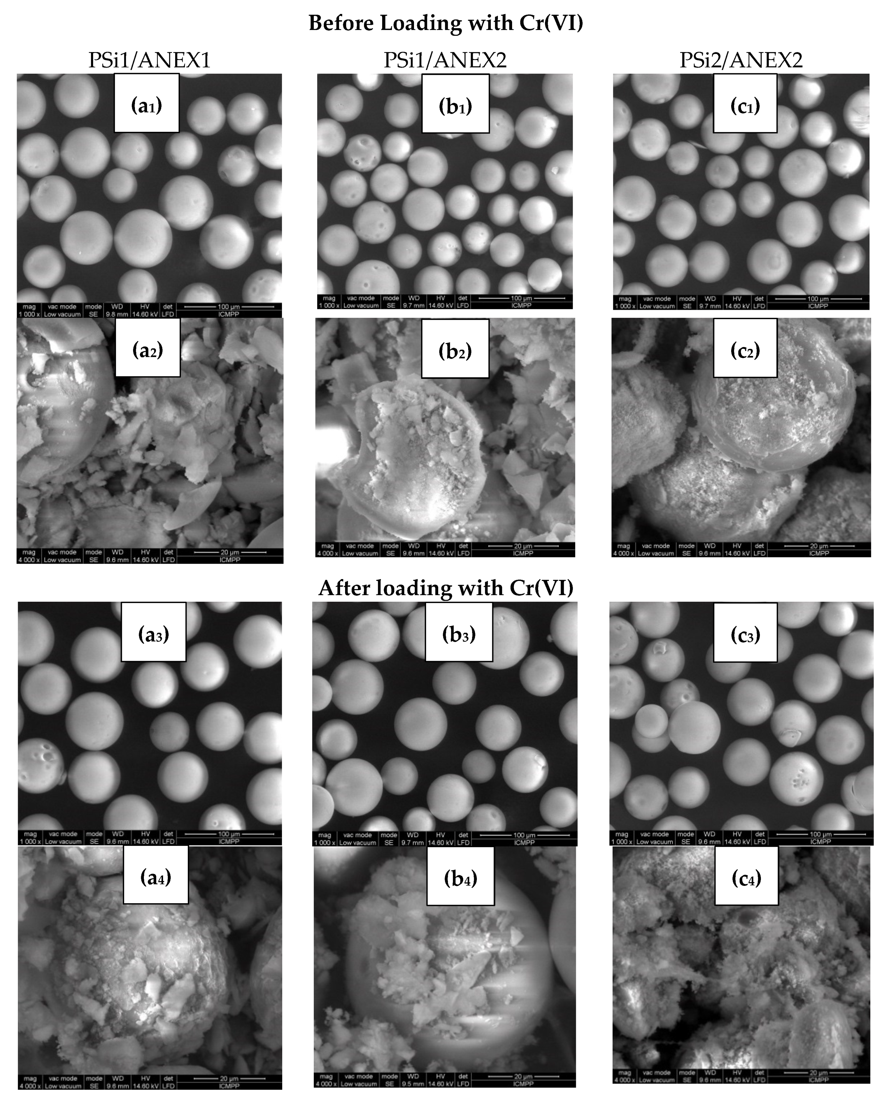 Molecules 25 01249 g003