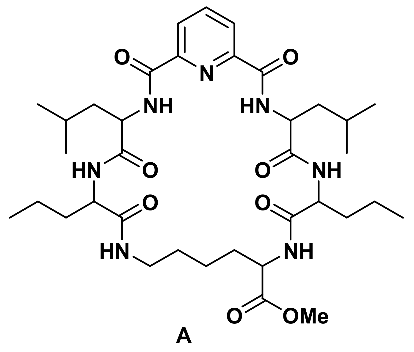 Molecules 25 01253 g001