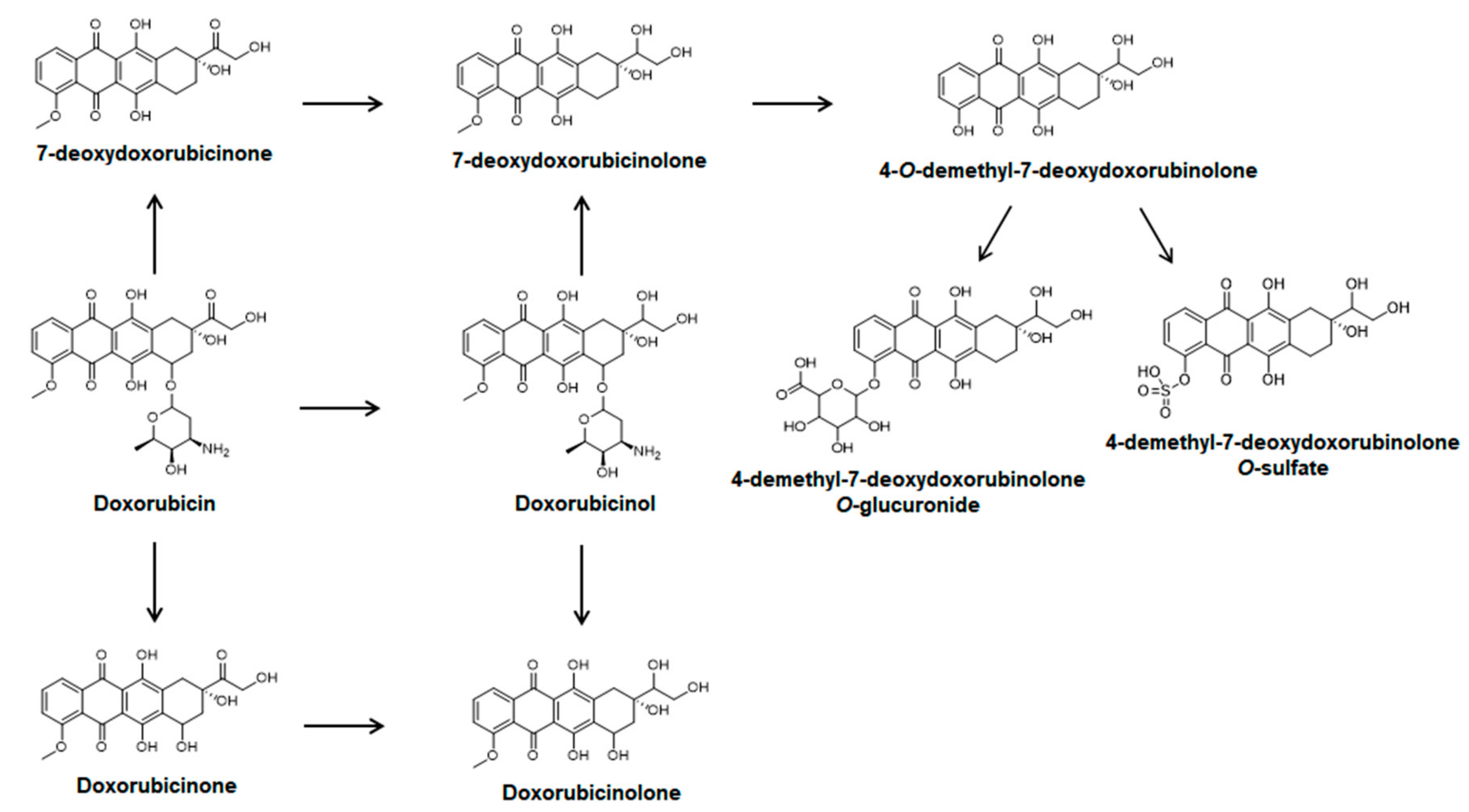 Molecules 25 01254 g001