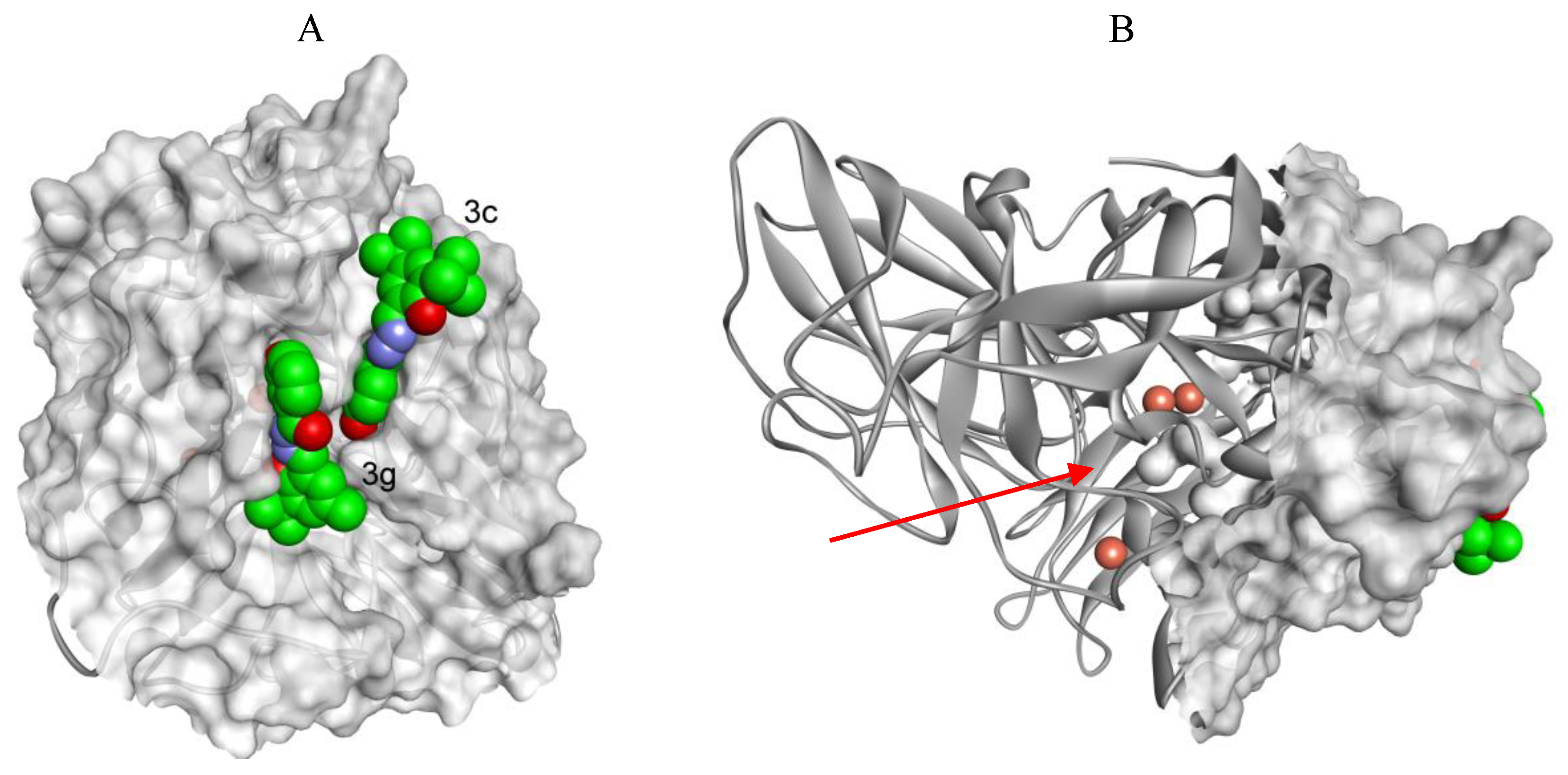 Molecules 25 01255 g006