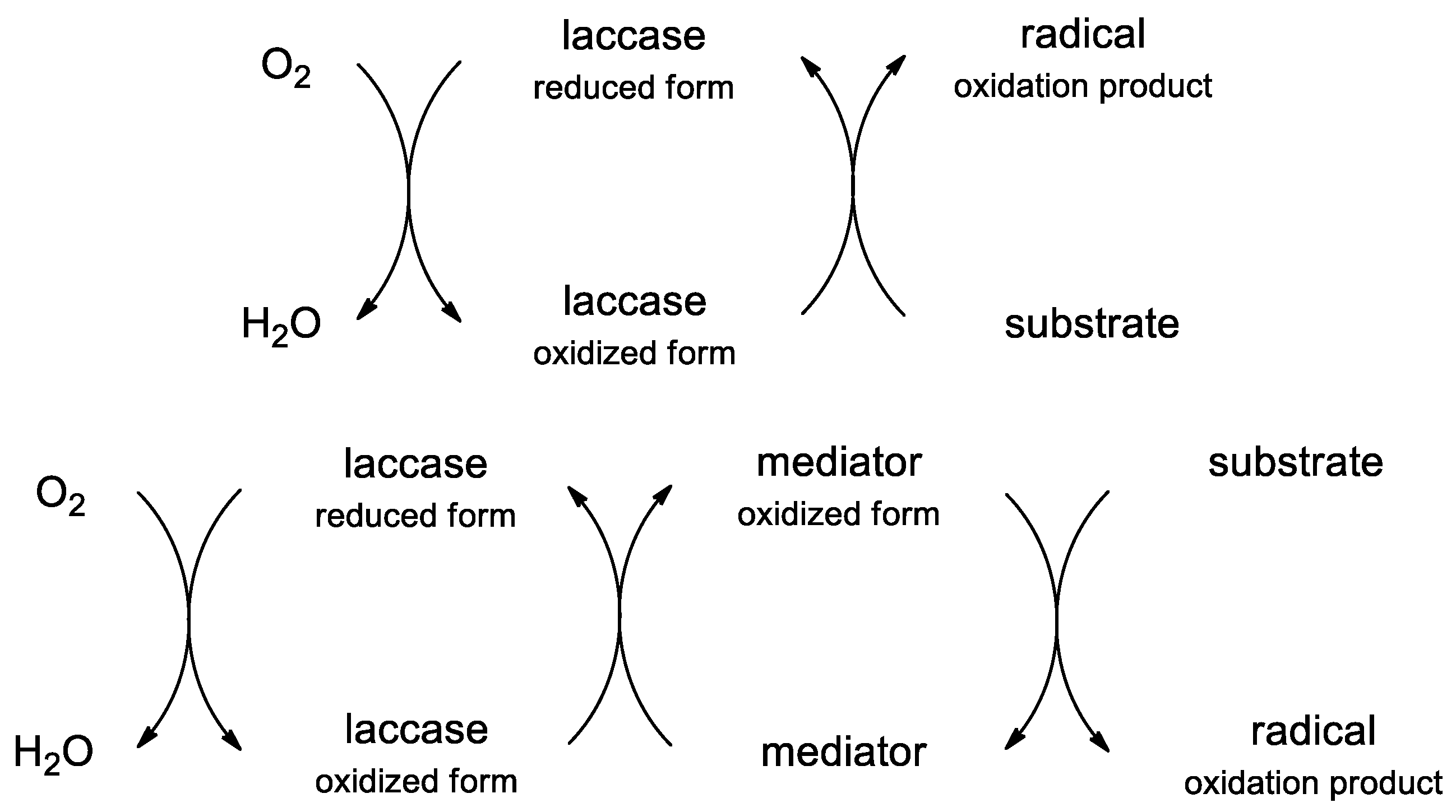 Molecules 25 01255 sch001