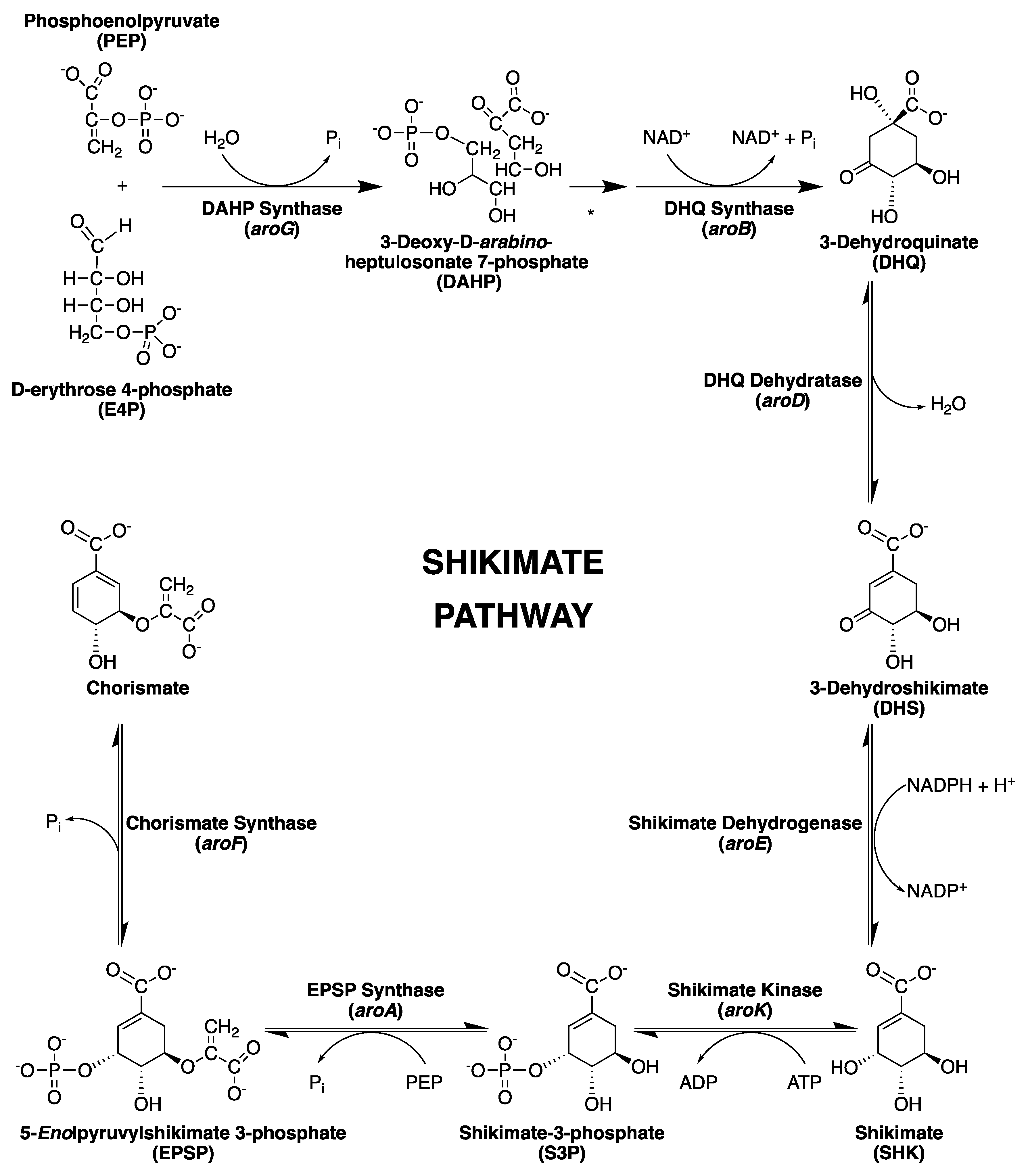 Molecules 25 01259 g001 Molecules 25 01259 g001