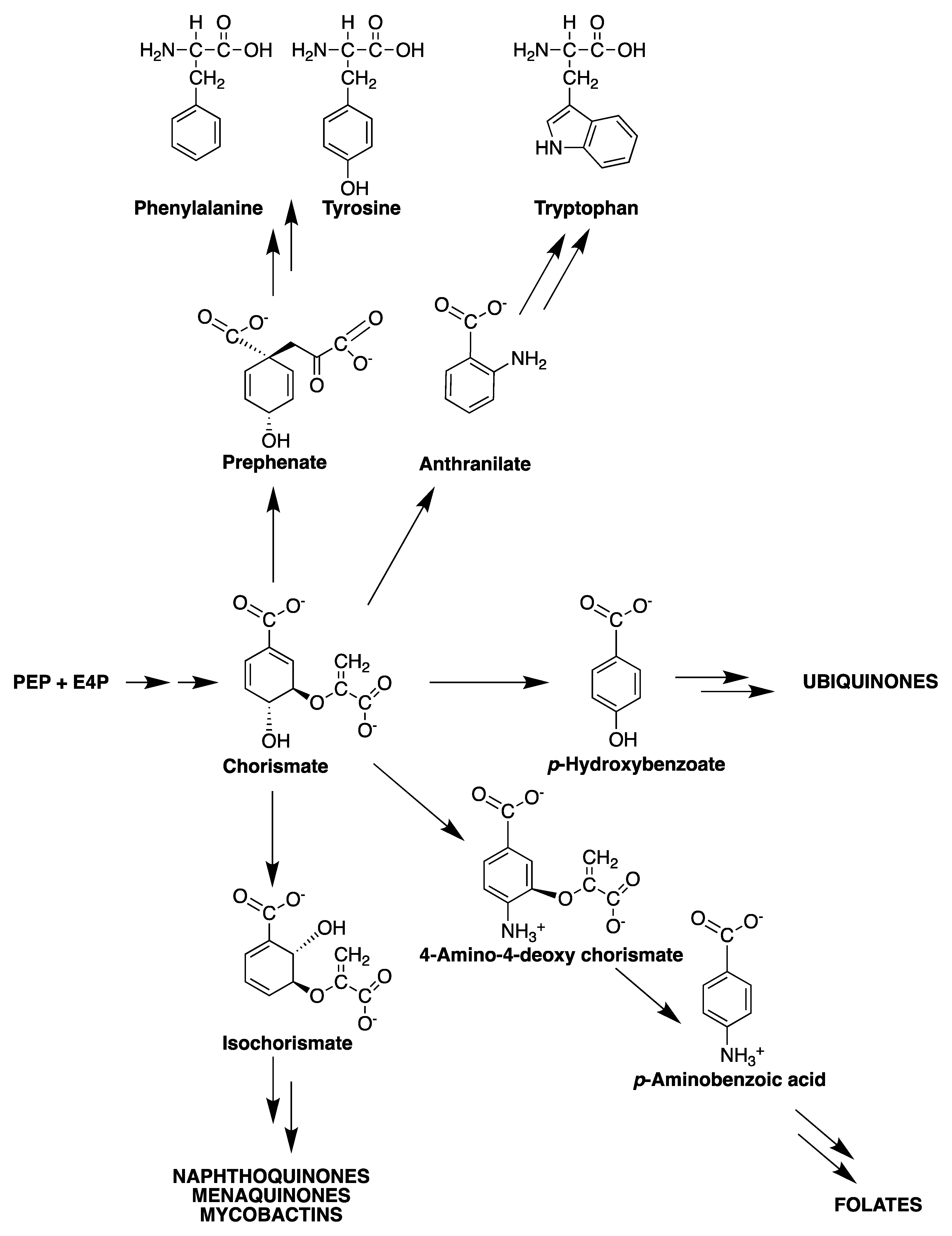 Molecules 25 01259 g002 Molecules 25 01259 g002