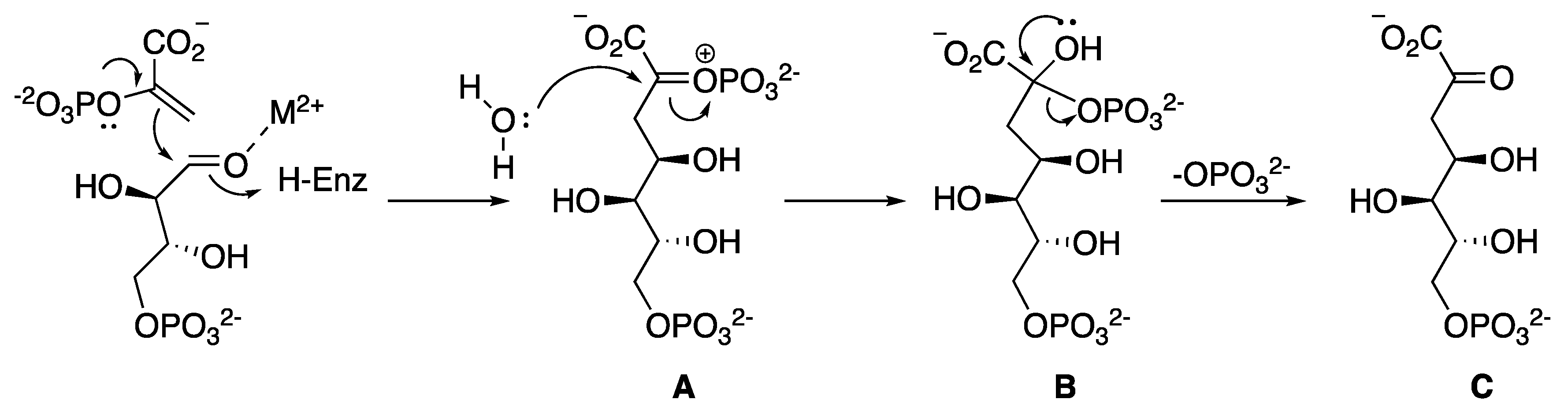 Molecules 25 01259 g003 Molecules 25 01259 g003