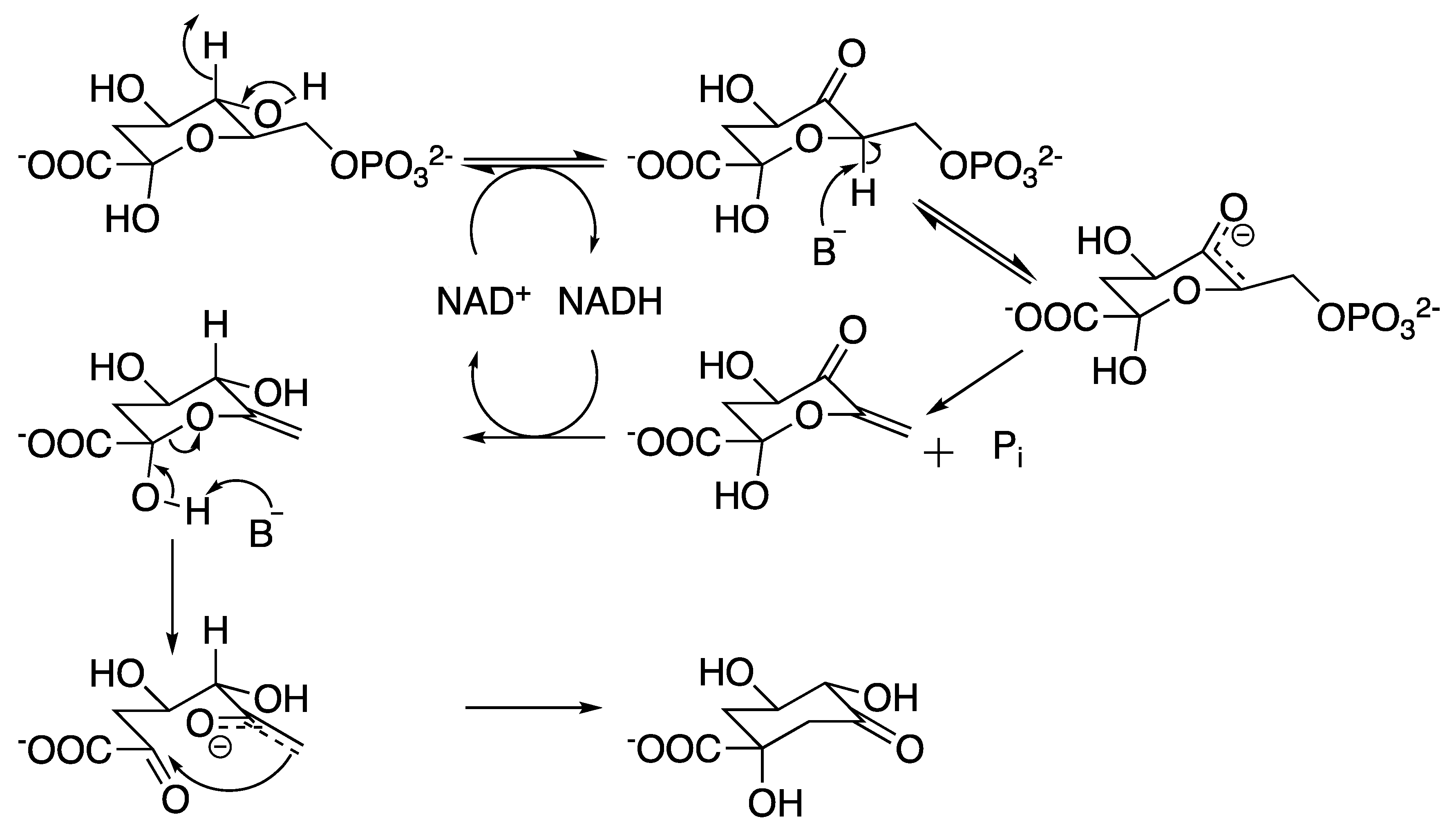 Molecules 25 01259 g006 Molecules 25 01259 g006