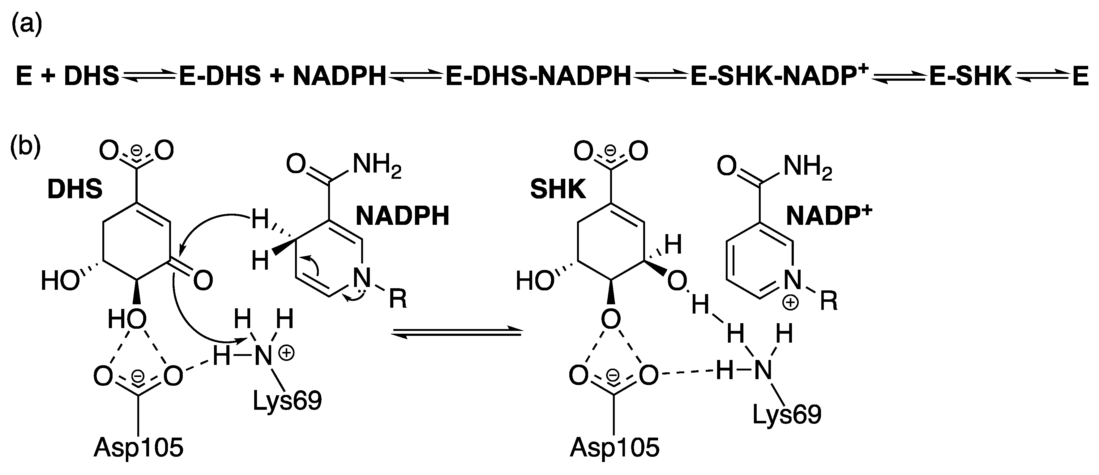 Molecules 25 01259 g009 Molecules 25 01259 g009