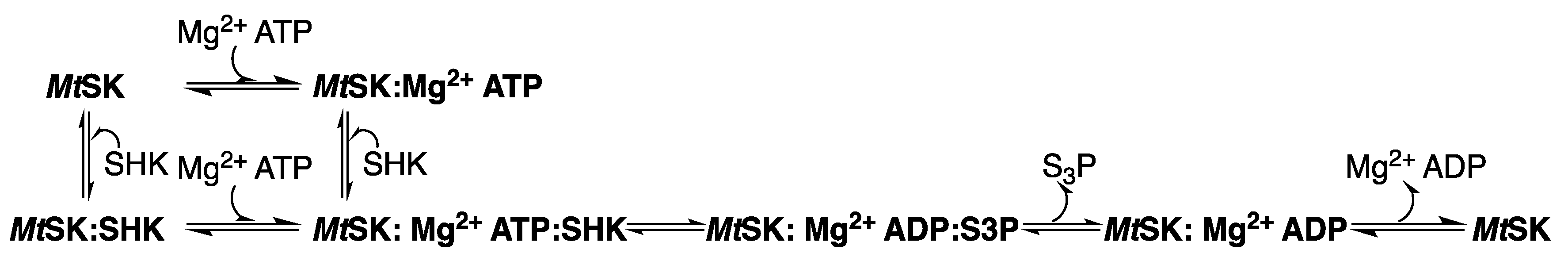 Molecules 25 01259 g012 Molecules 25 01259 g012