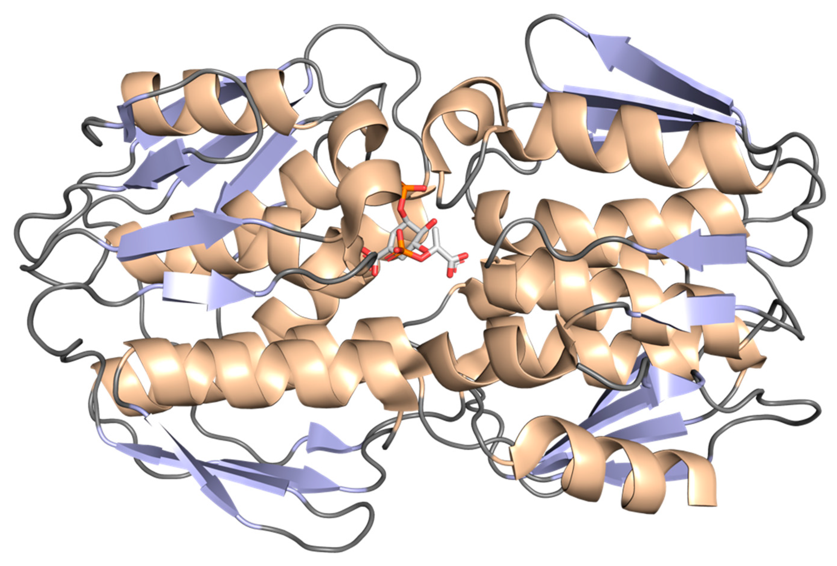 Molecules 25 01259 g014 Molecules 25 01259 g014