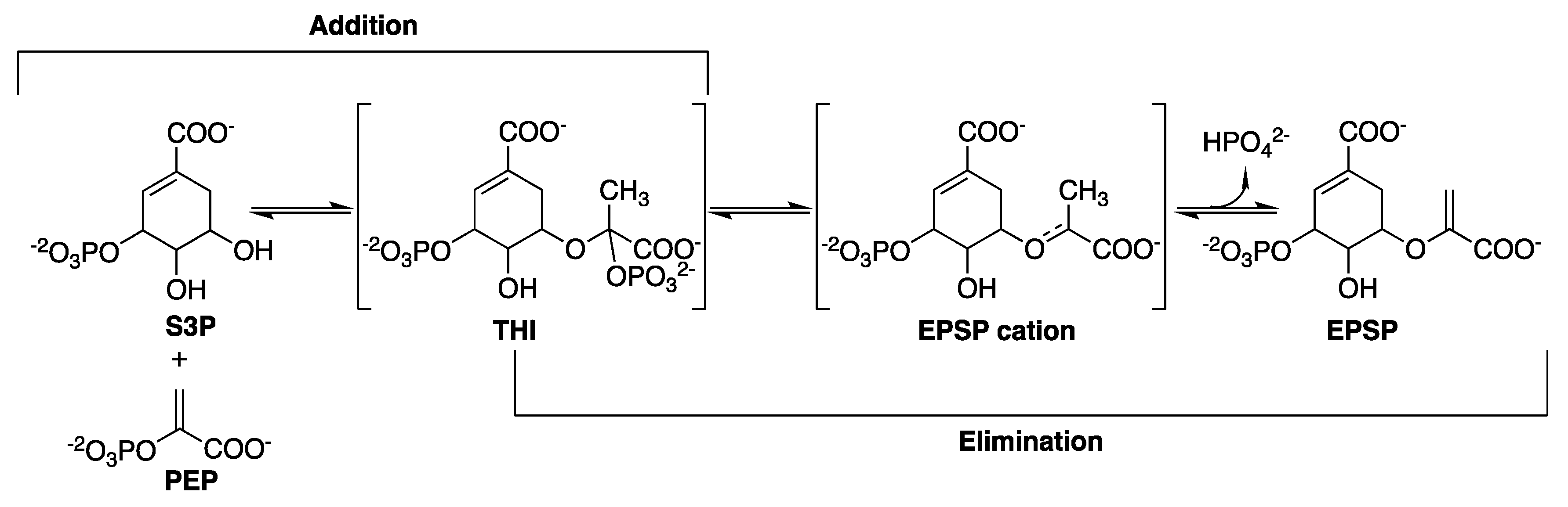 Molecules 25 01259 g015 Molecules 25 01259 g015