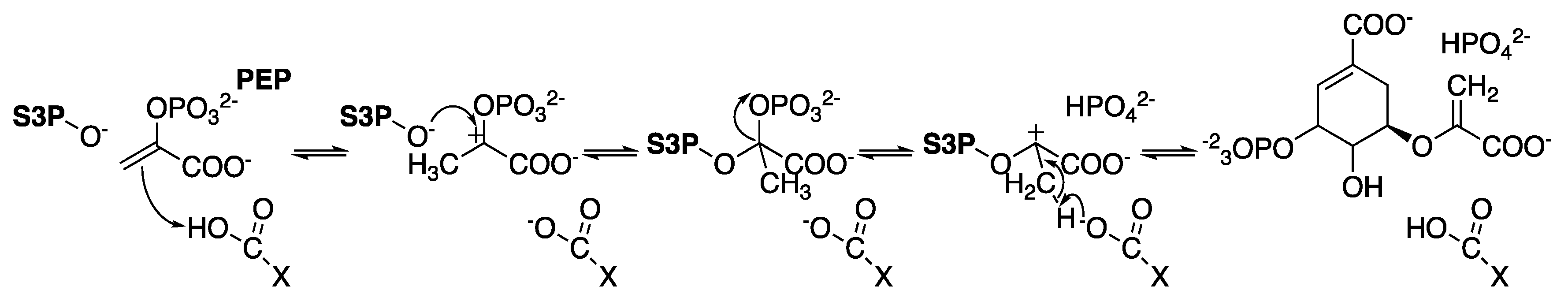 Molecules 25 01259 g016 Molecules 25 01259 g016