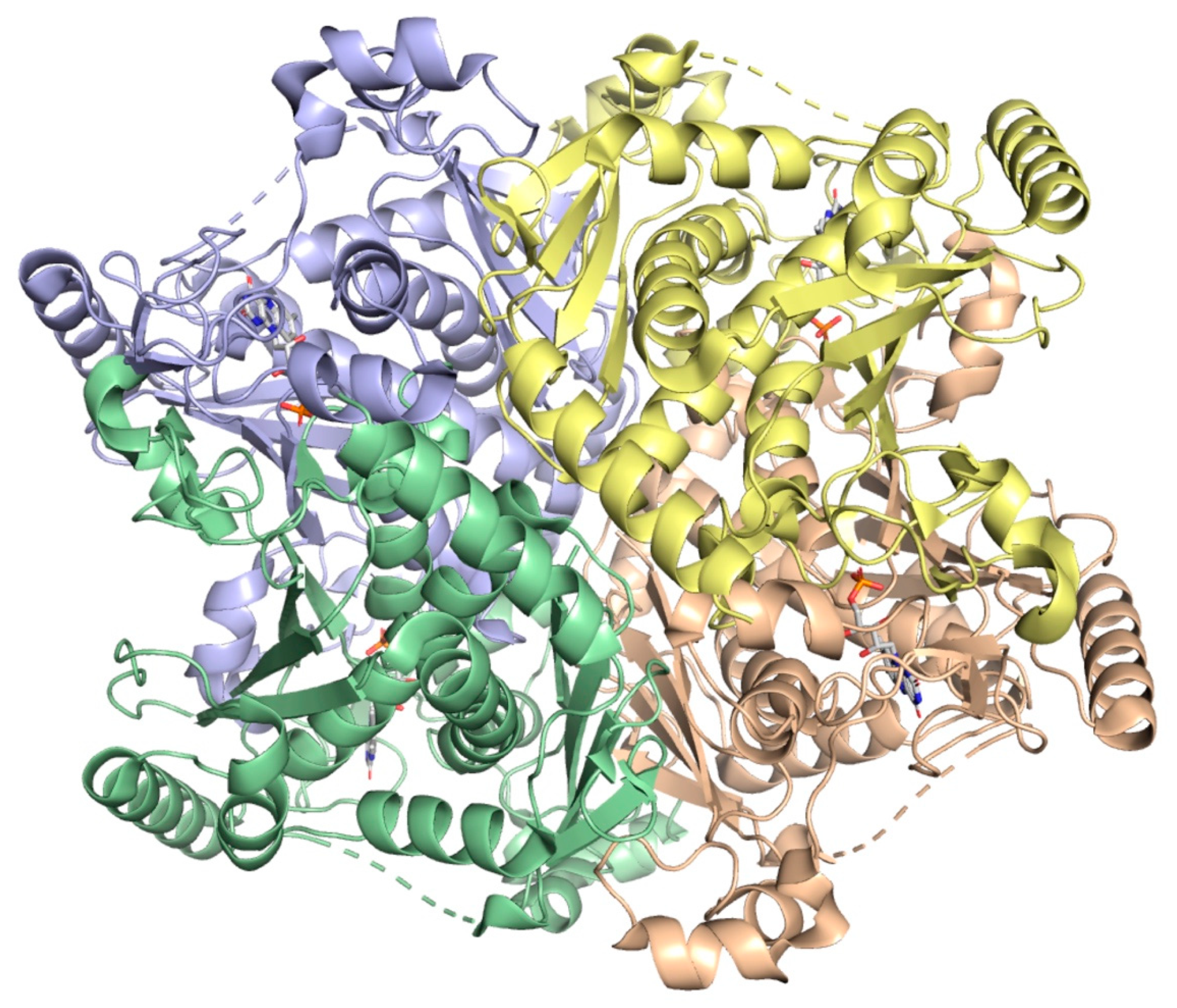 Molecules 25 01259 g017 Molecules 25 01259 g017