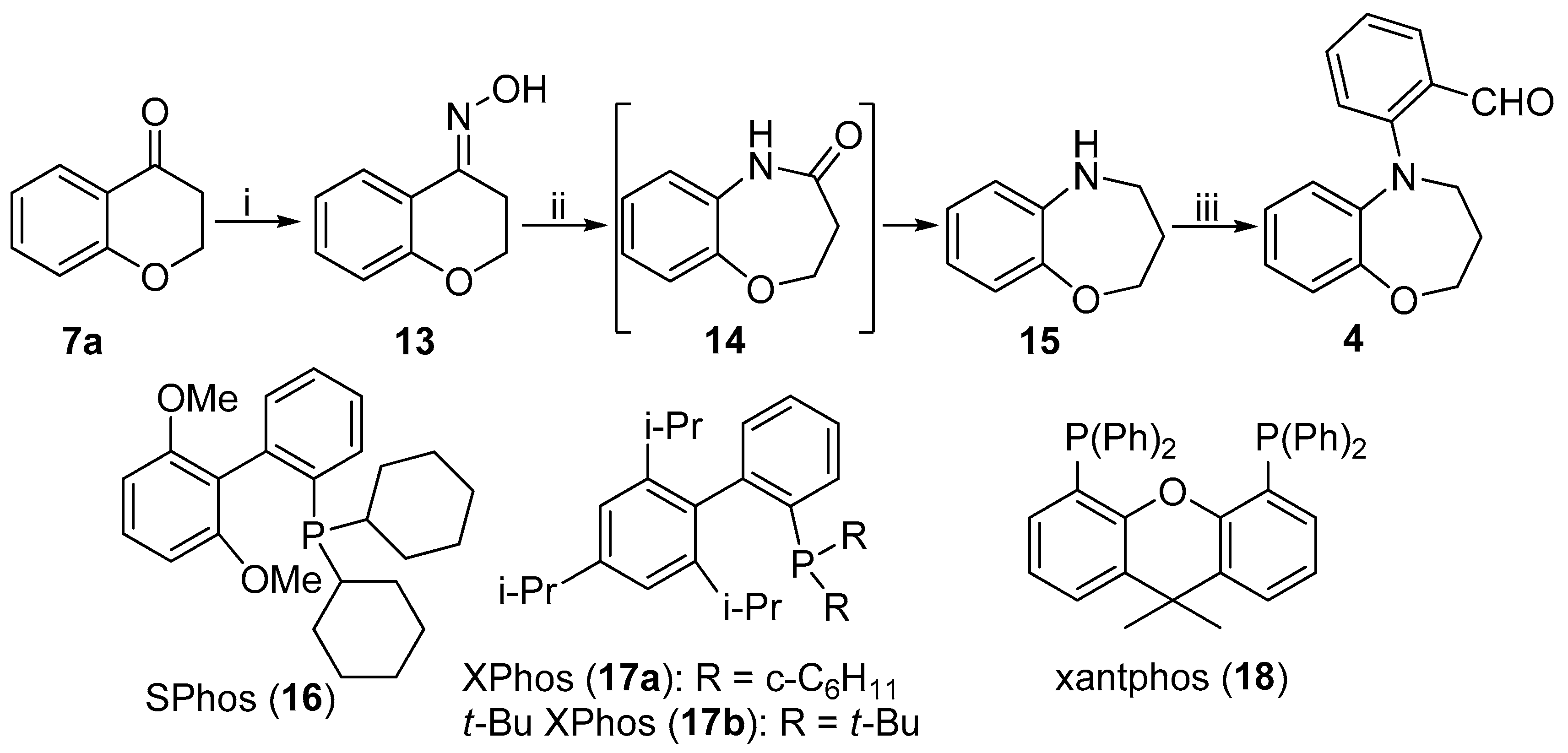 Molecules 25 01265 sch005