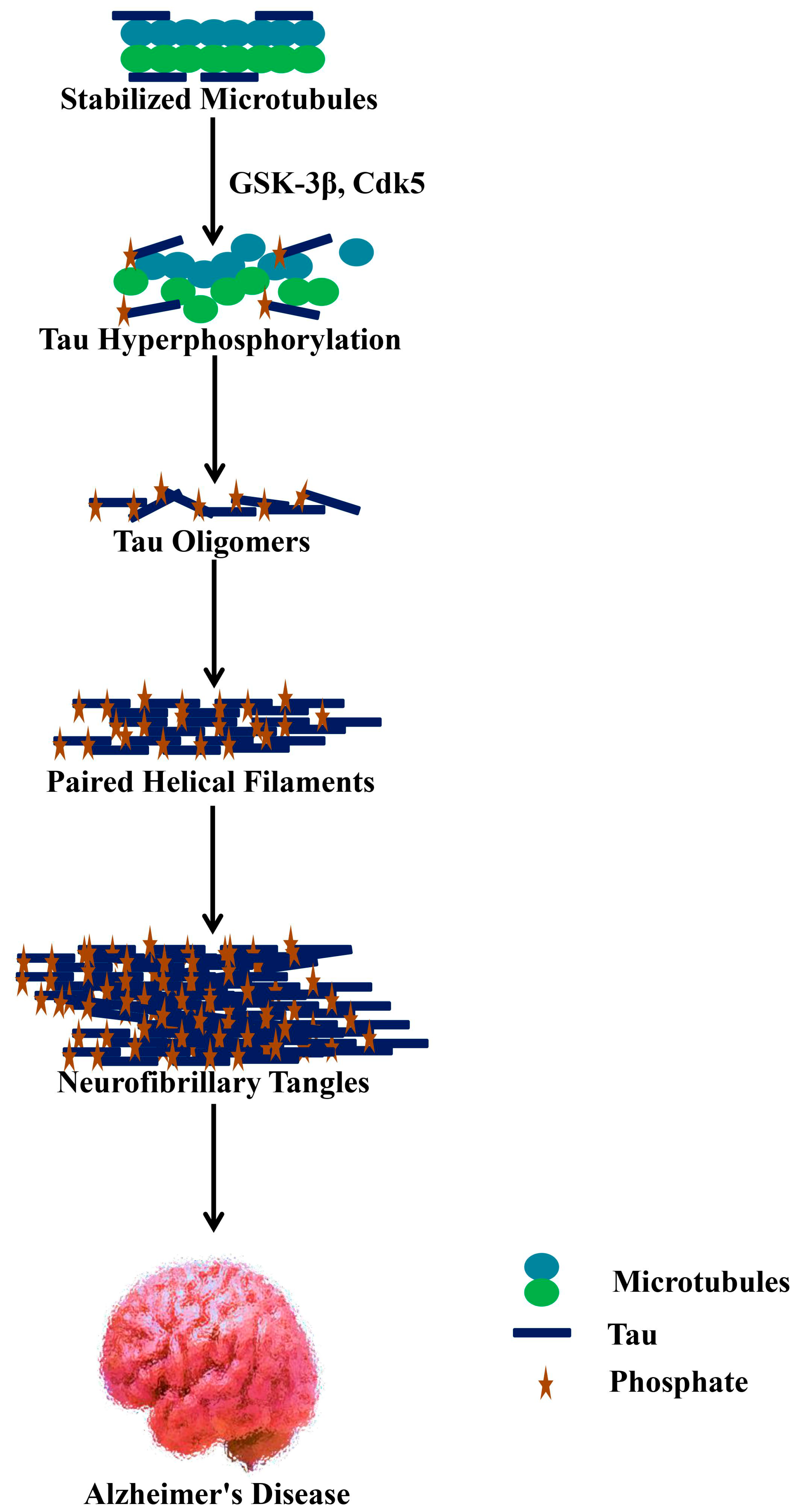Molecules 25 01267 g002