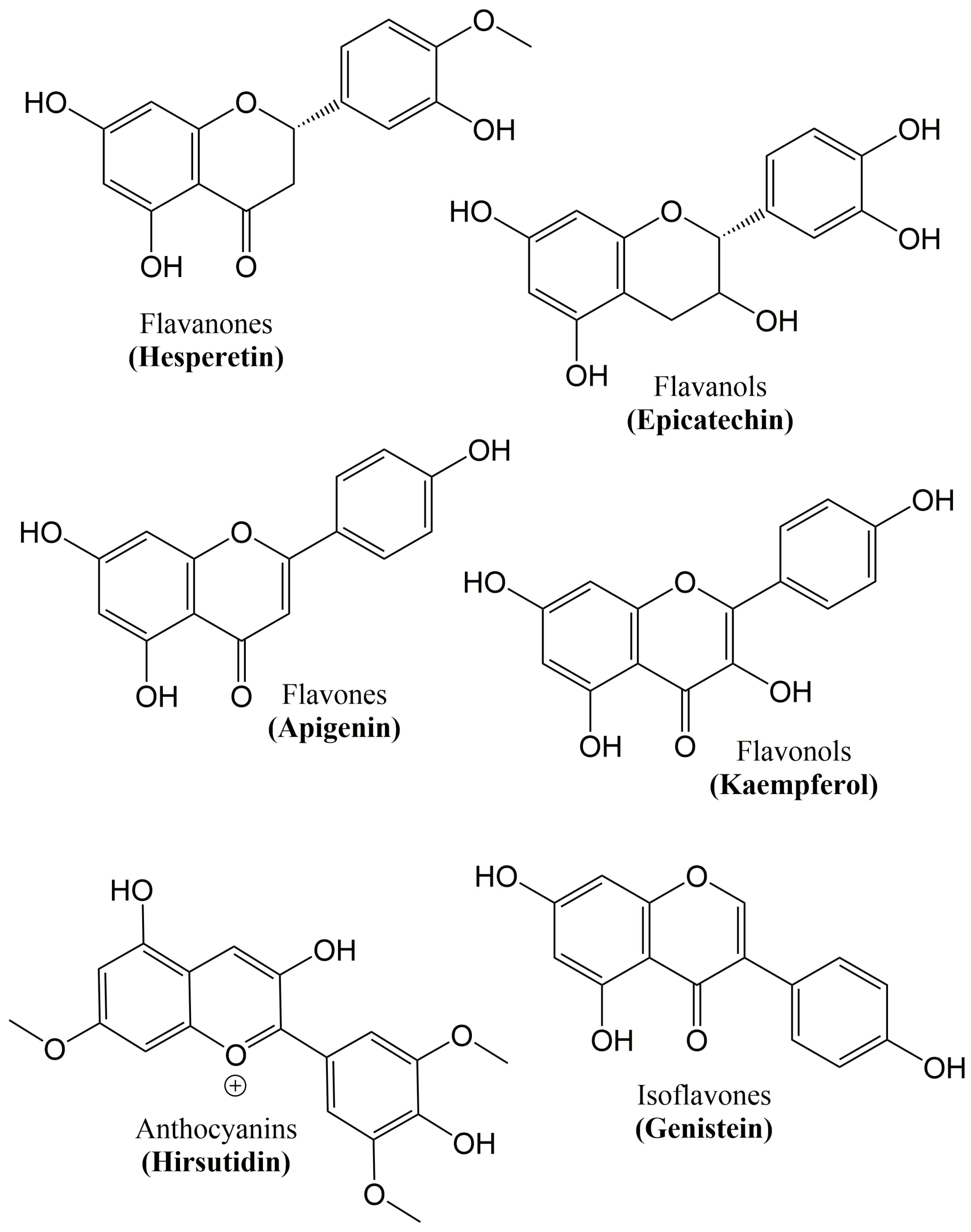 Molecules 25 01267 g003