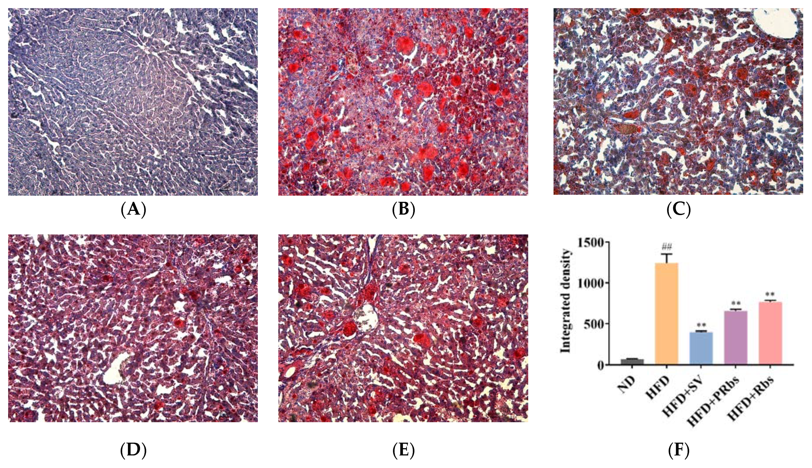 Molecules 25 01274 g002 Molecules 25 01274 g002