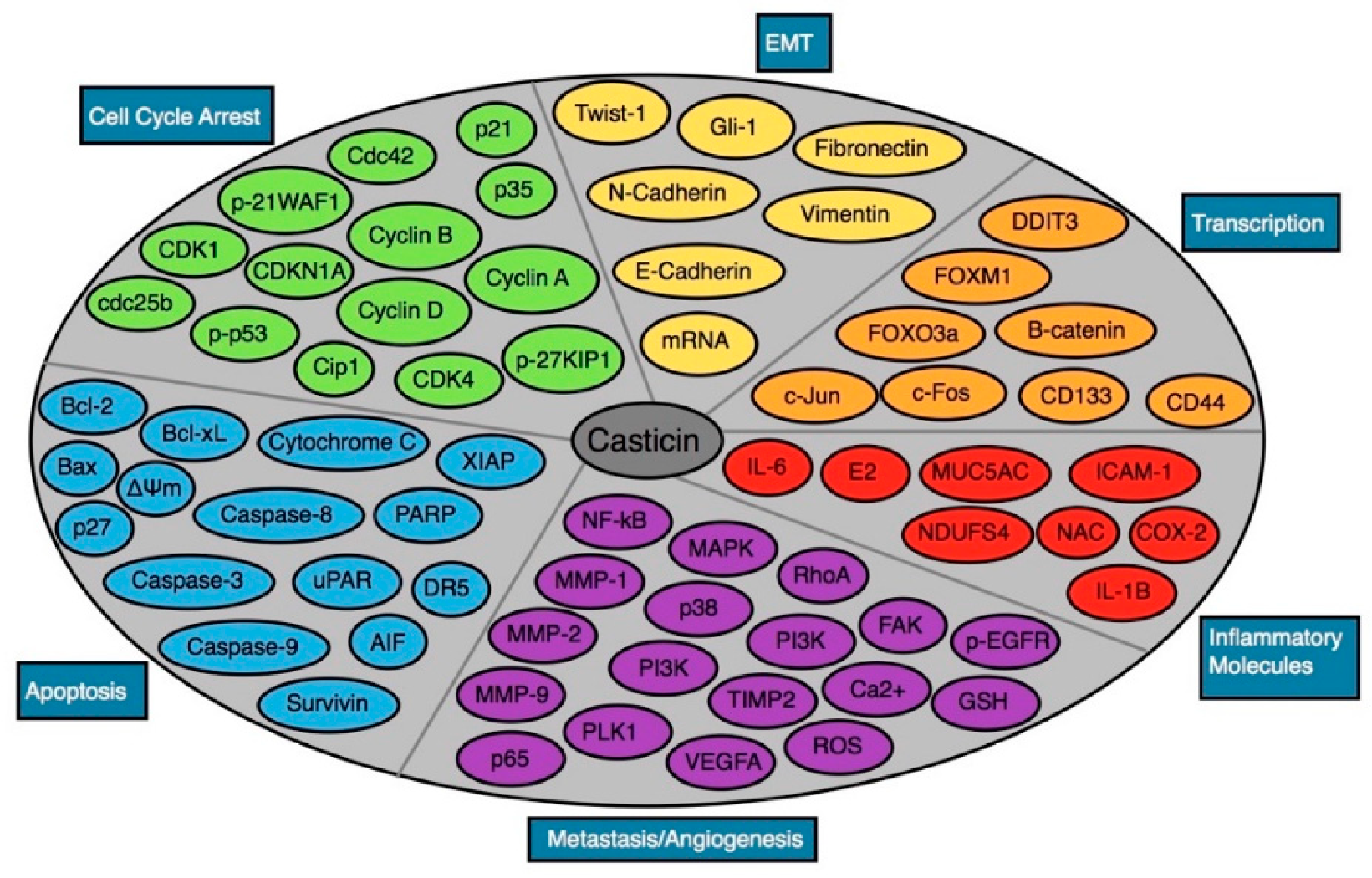 Molecules 25 01287 g003