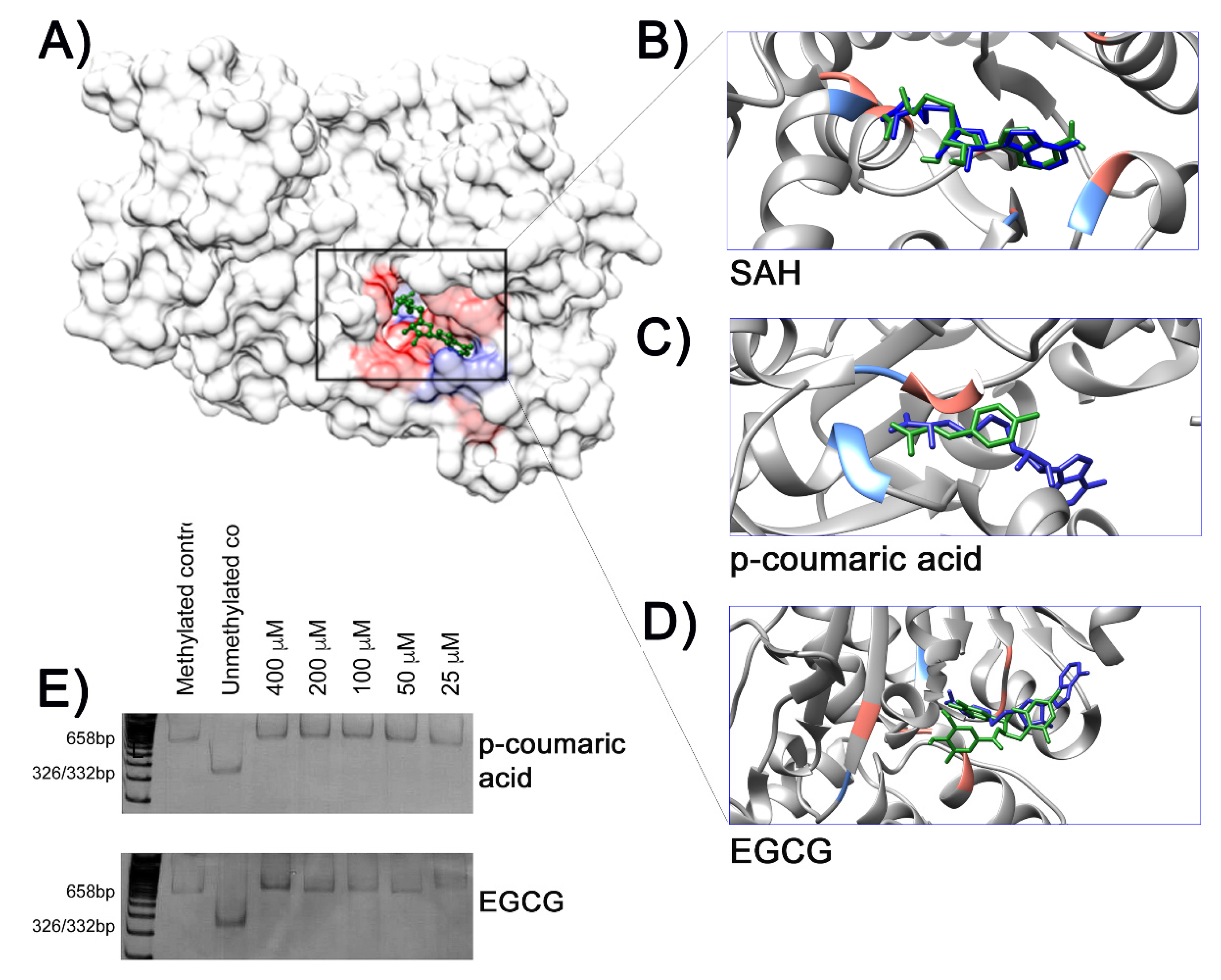 Molecules 25 01289 g003 Molecules 25 01289 g003
