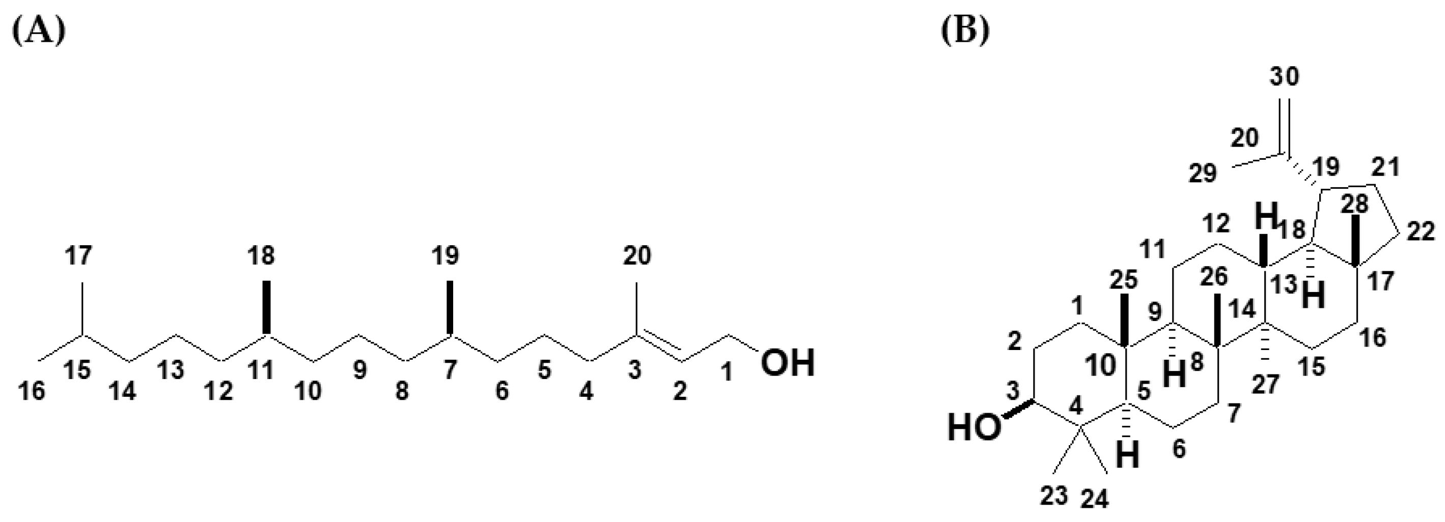 Molecules 25 01300 g001