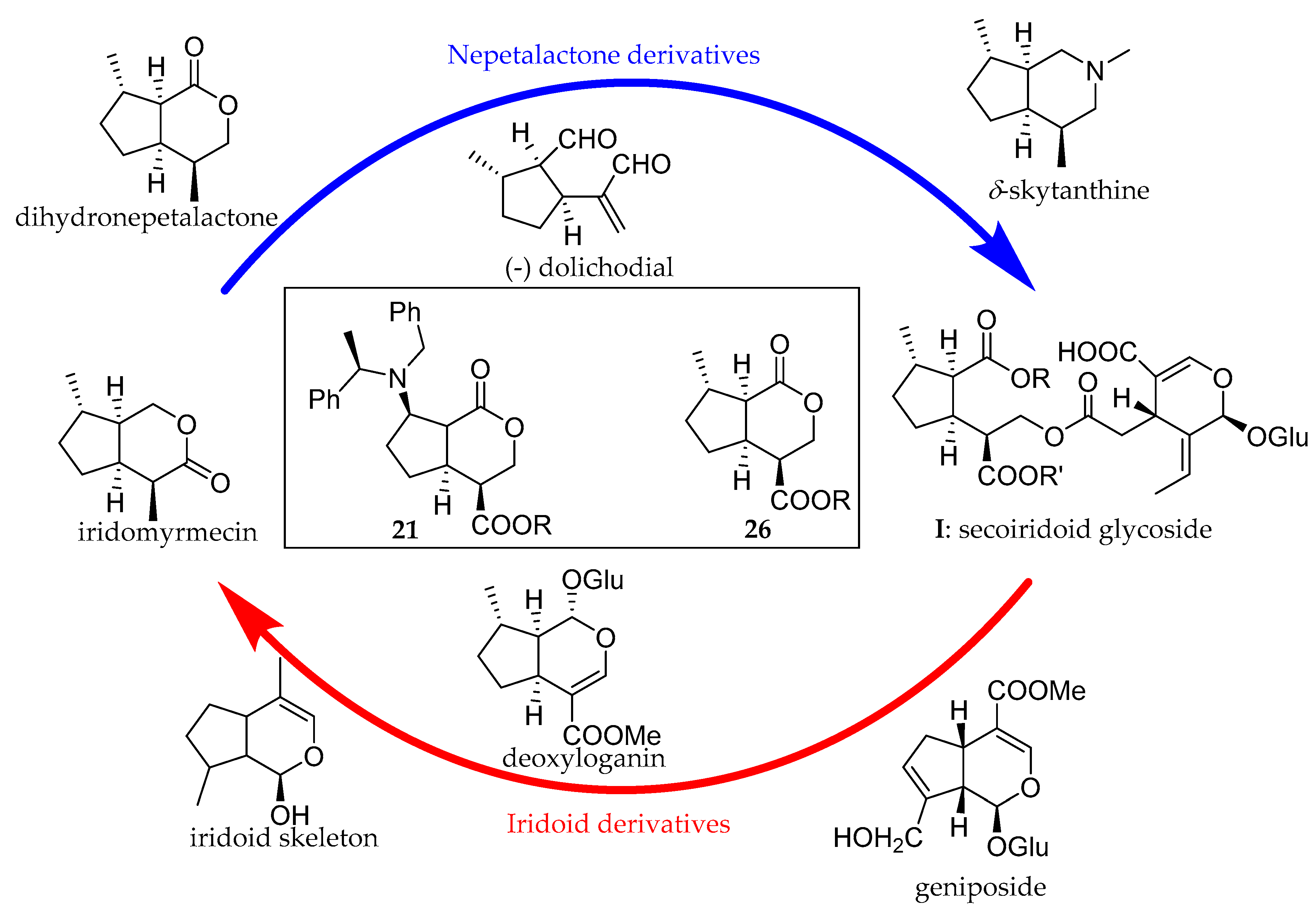 Molecules 25 01308 g001 Molecules 25 01308 g001