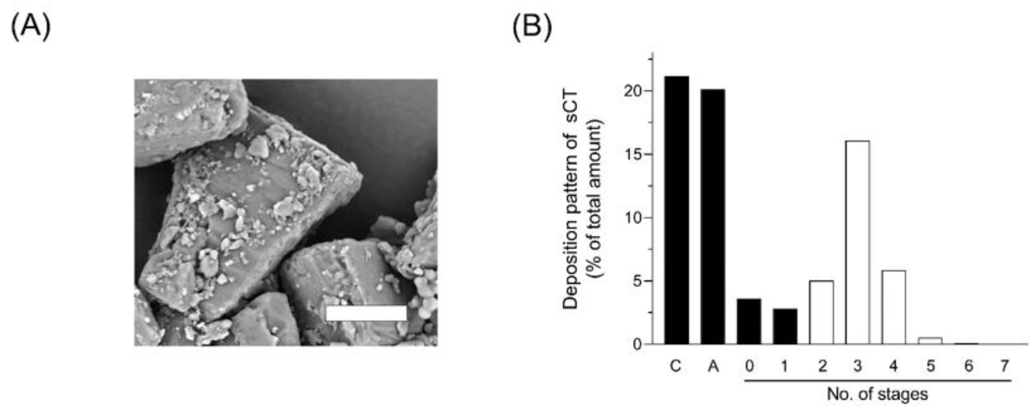 Molecules 25 01311 g004