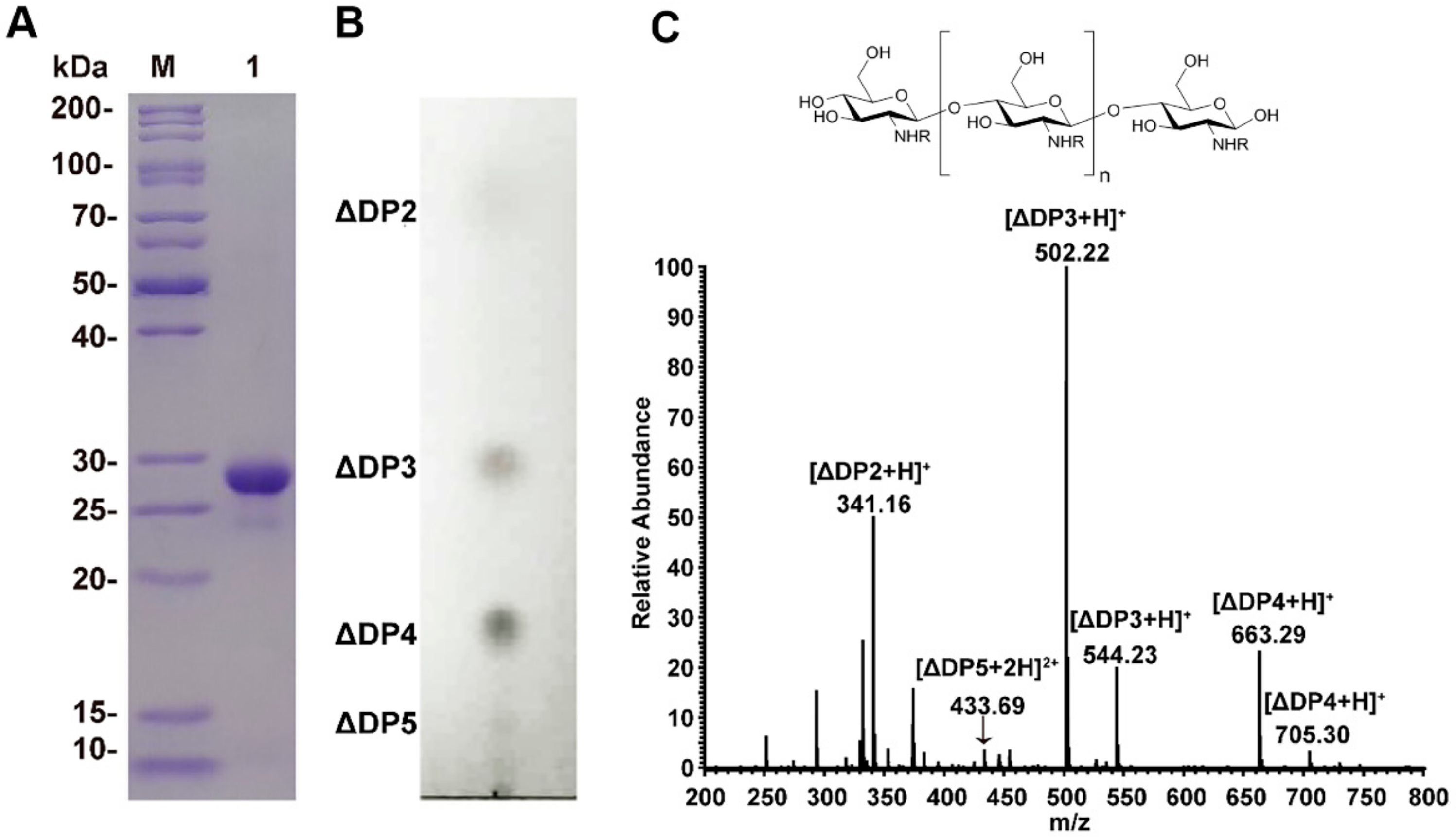 Molecules 25 01314 g001