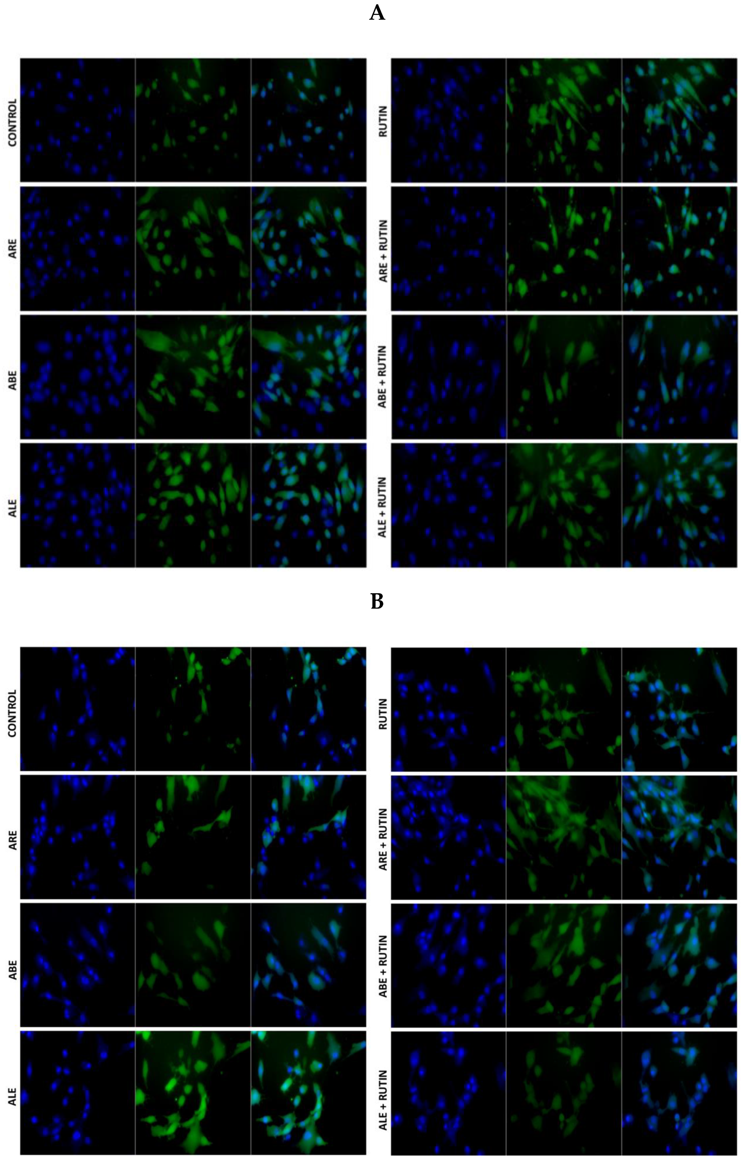 Molecules 25 01325 g005 Molecules 25 01325 g005
