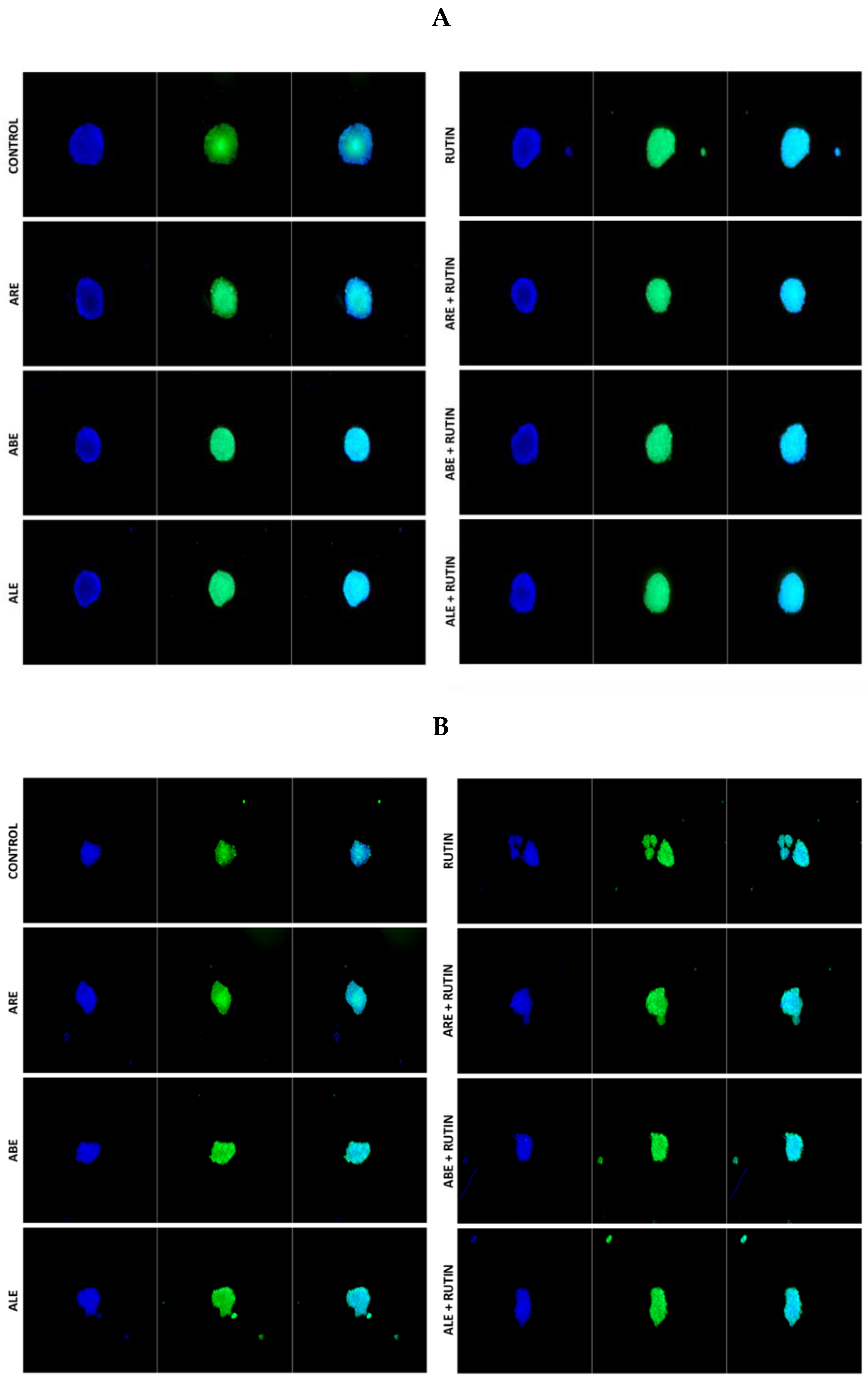 Molecules 25 01325 g007 Molecules 25 01325 g007