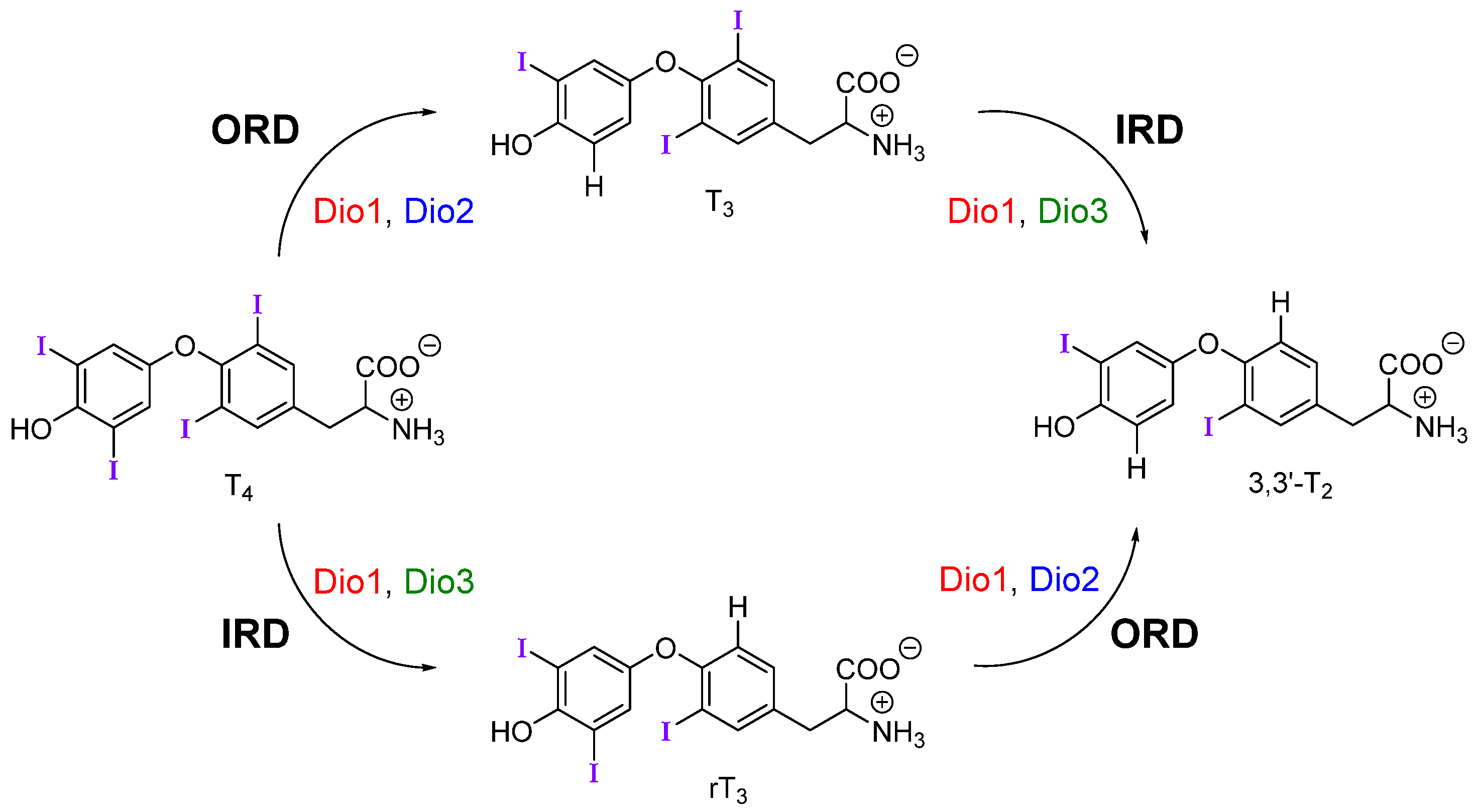 Molecules 25 01328 g001