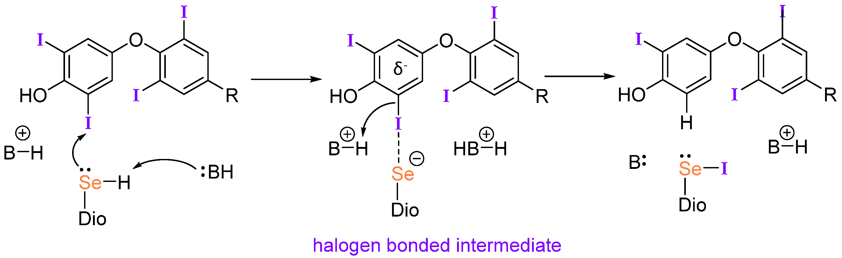 Molecules 25 01328 g003