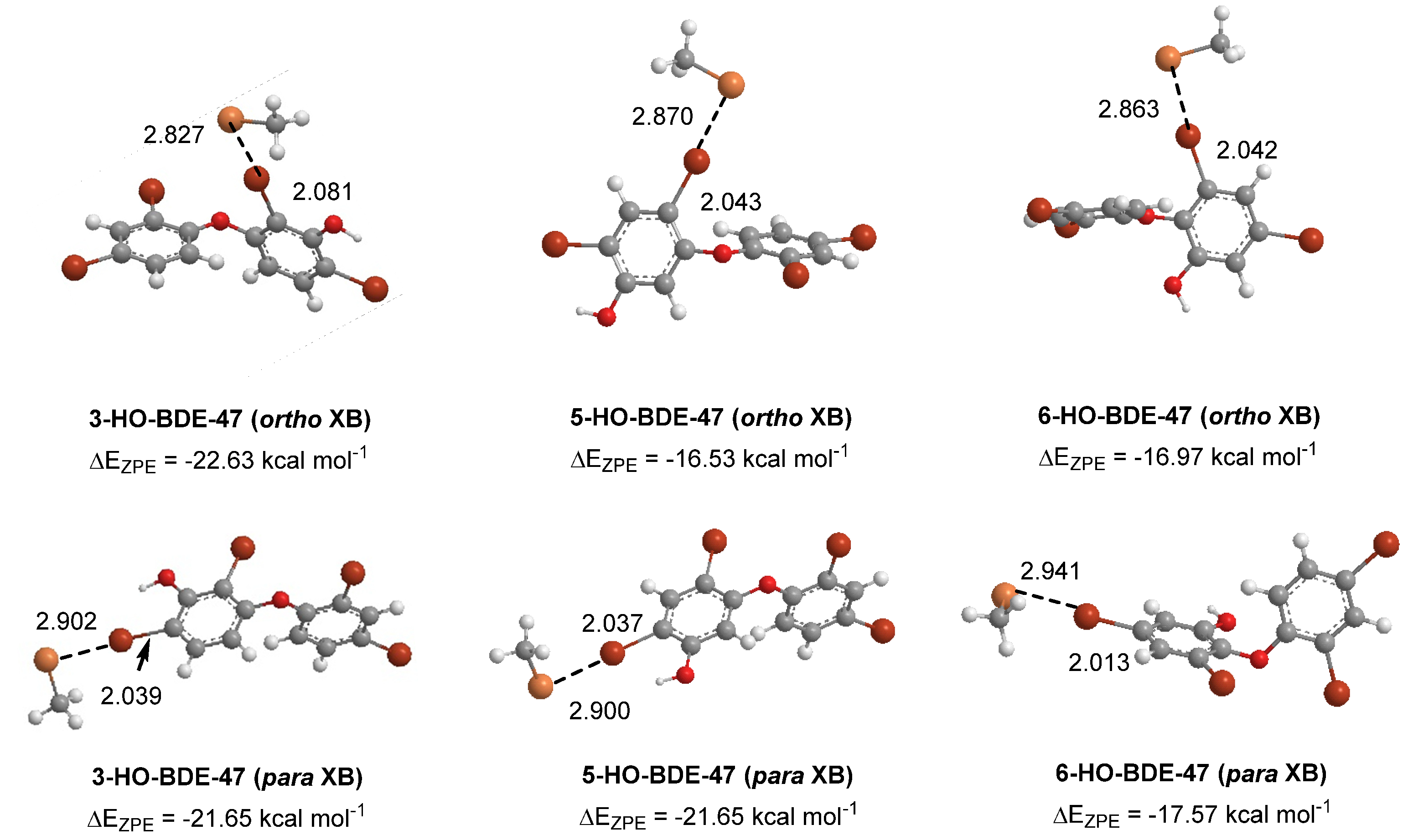 Molecules 25 01328 g007