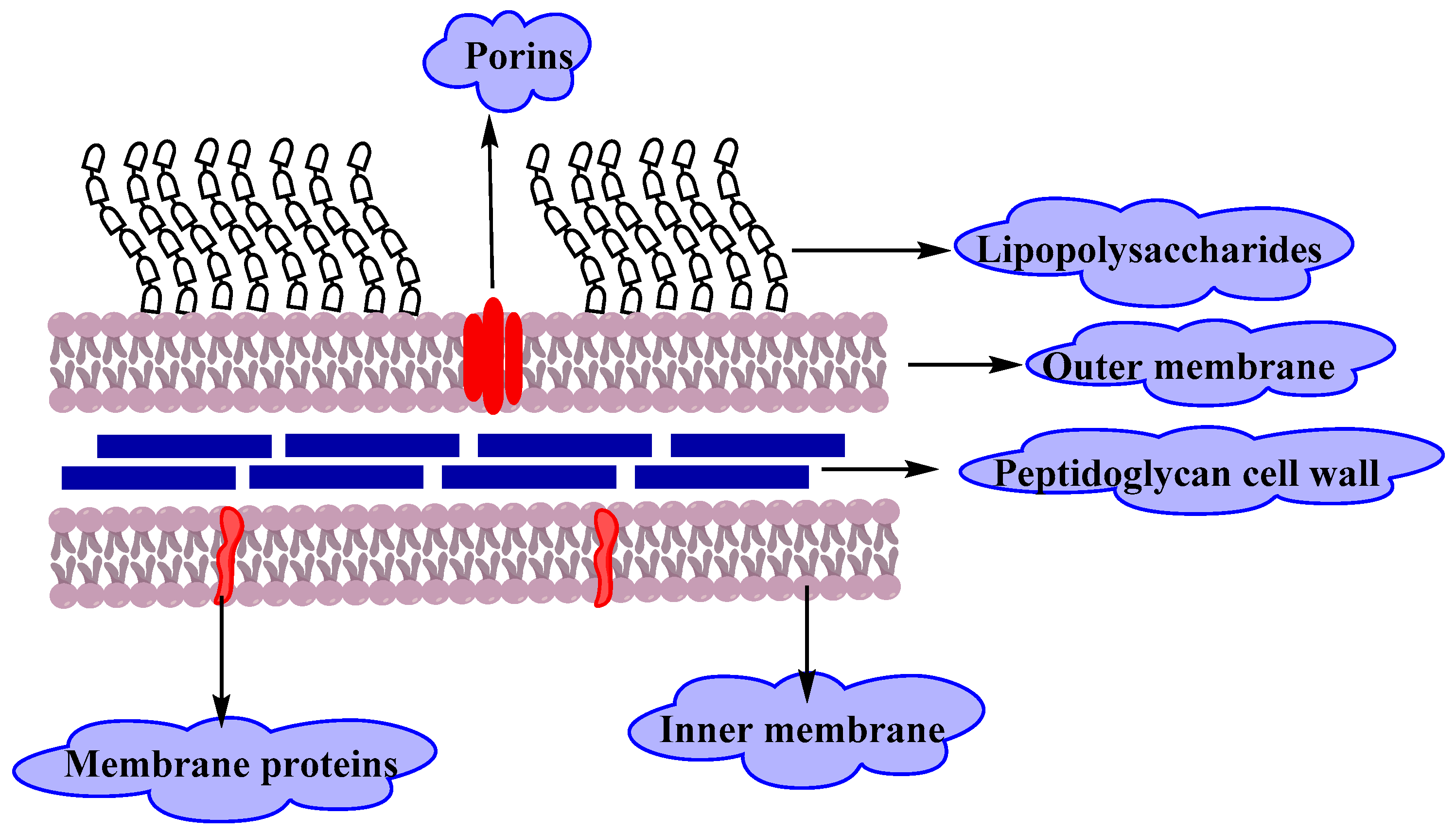 Molecules 25 01340 g002 Molecules 25 01340 g002