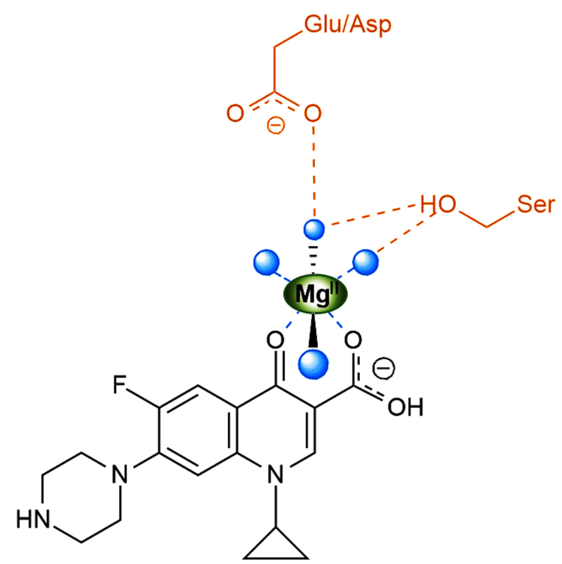 Molecules 25 01347 g002 Molecules 25 01347 g002