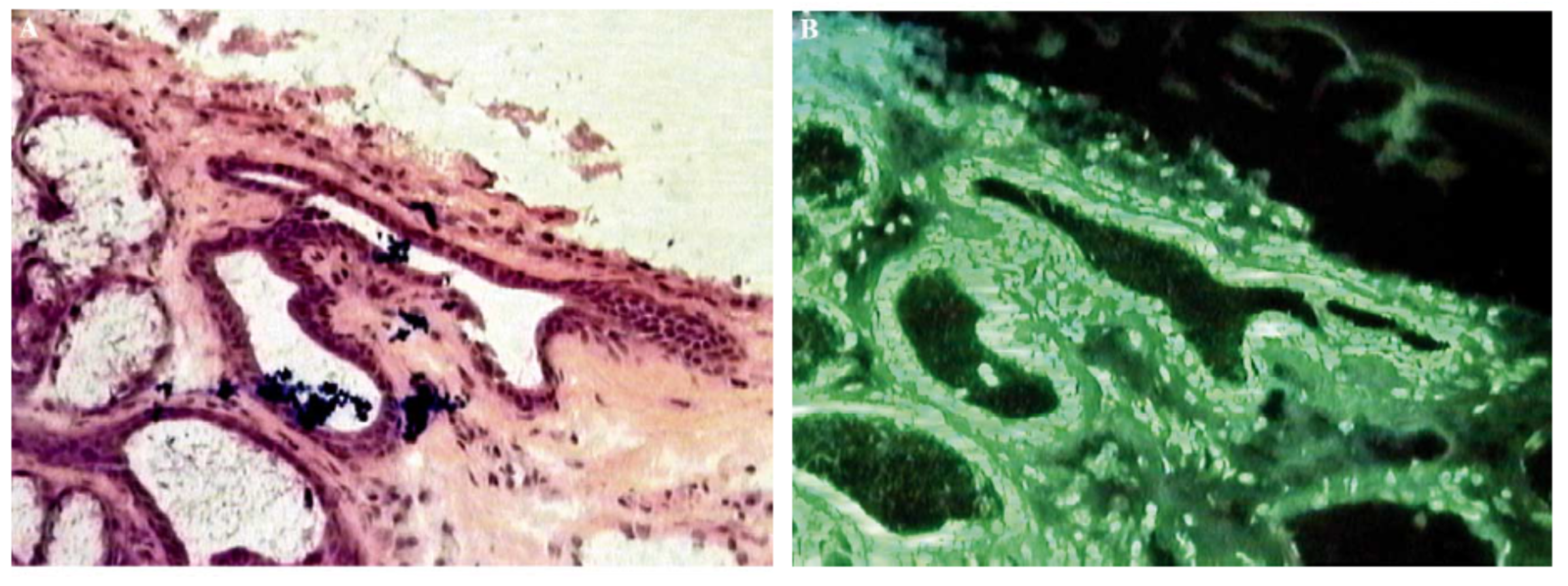 Molecules 25 01347 g007 Molecules 25 01347 g007