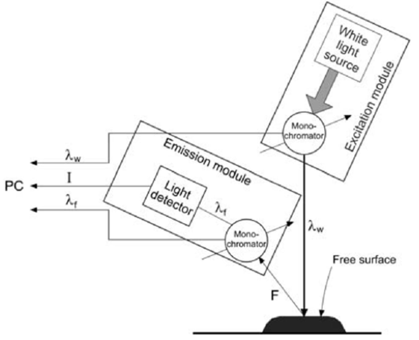 Molecules 25 01350 g005