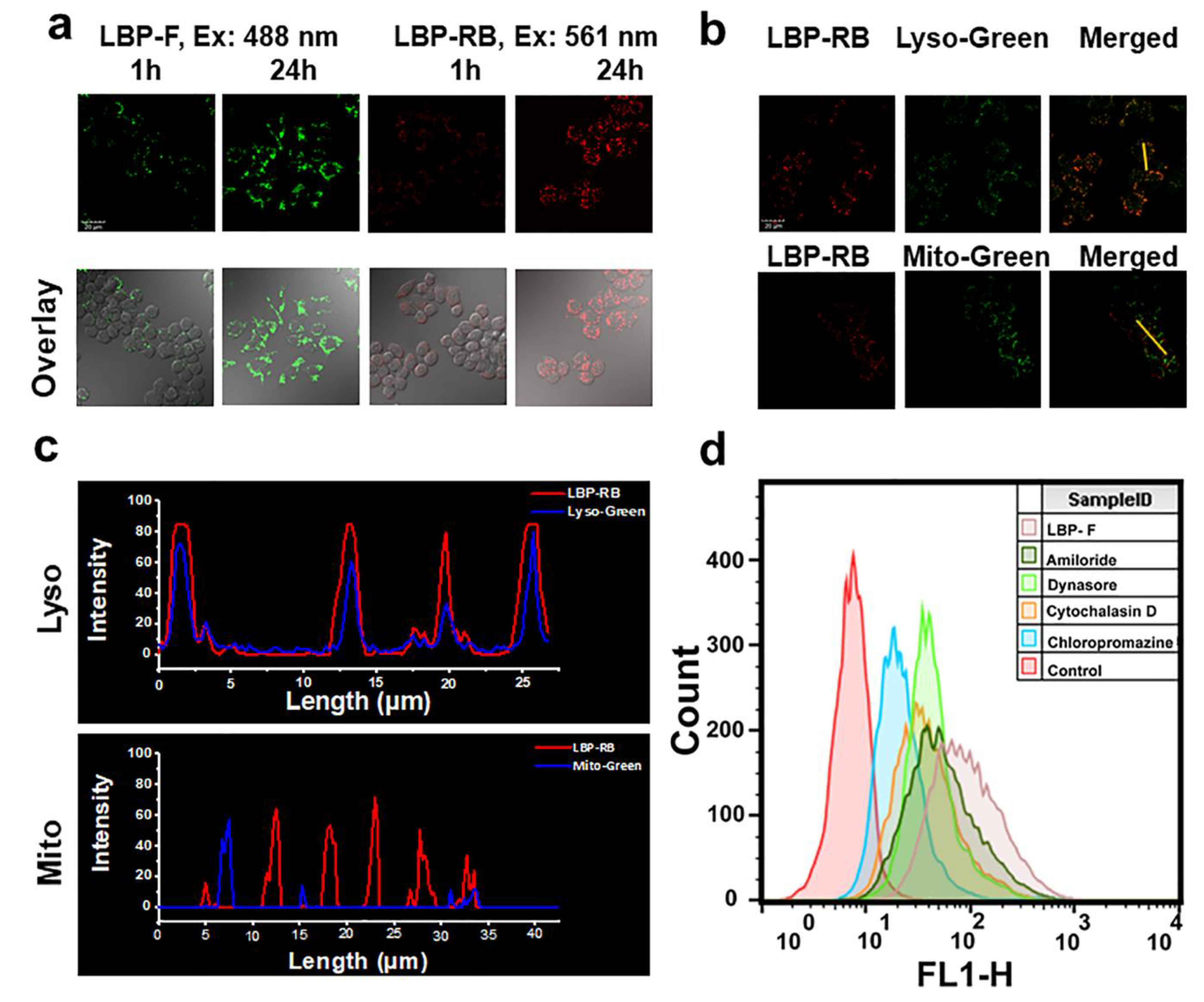 Molecules 25 01351 g004 Molecules 25 01351 g004