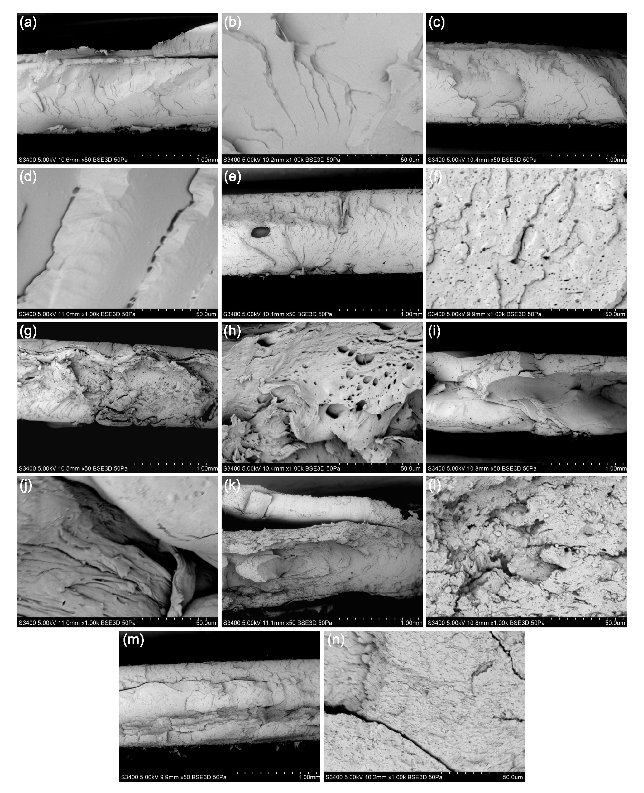 Molecules 25 01354 g001 Molecules 25 01354 g001