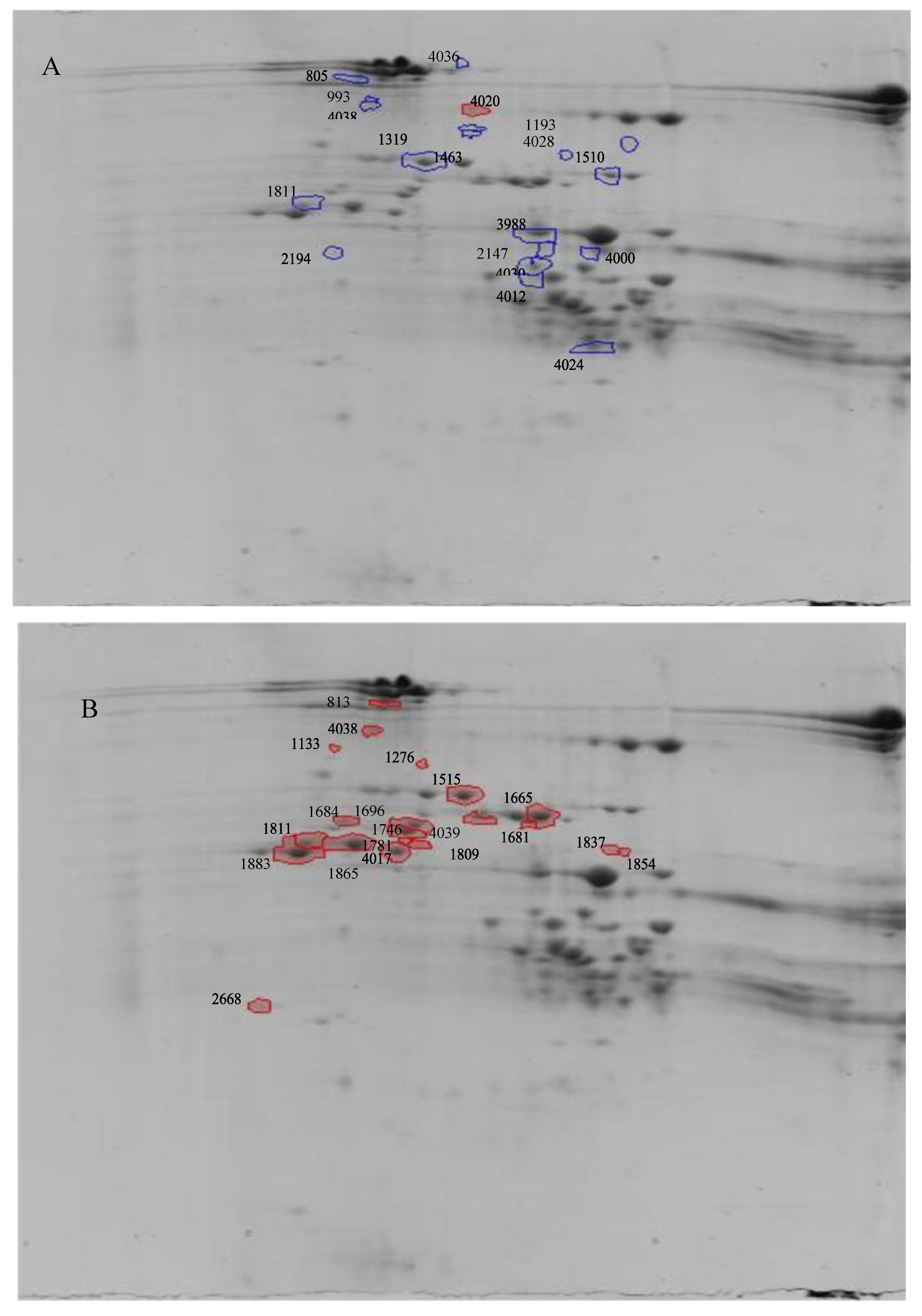 Molecules 25 01366 g001 Molecules 25 01366 g001