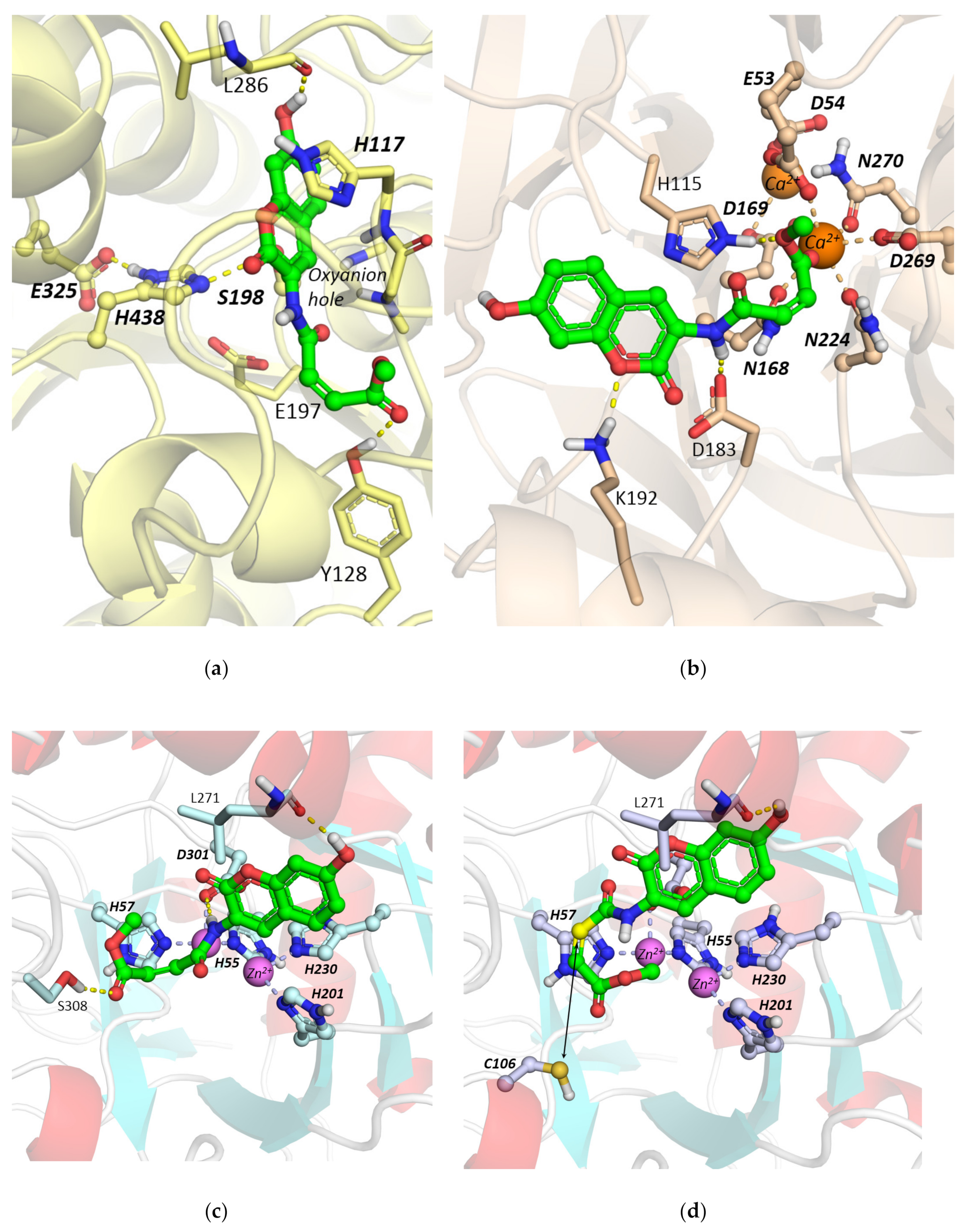 Molecules 25 01371 g001a
