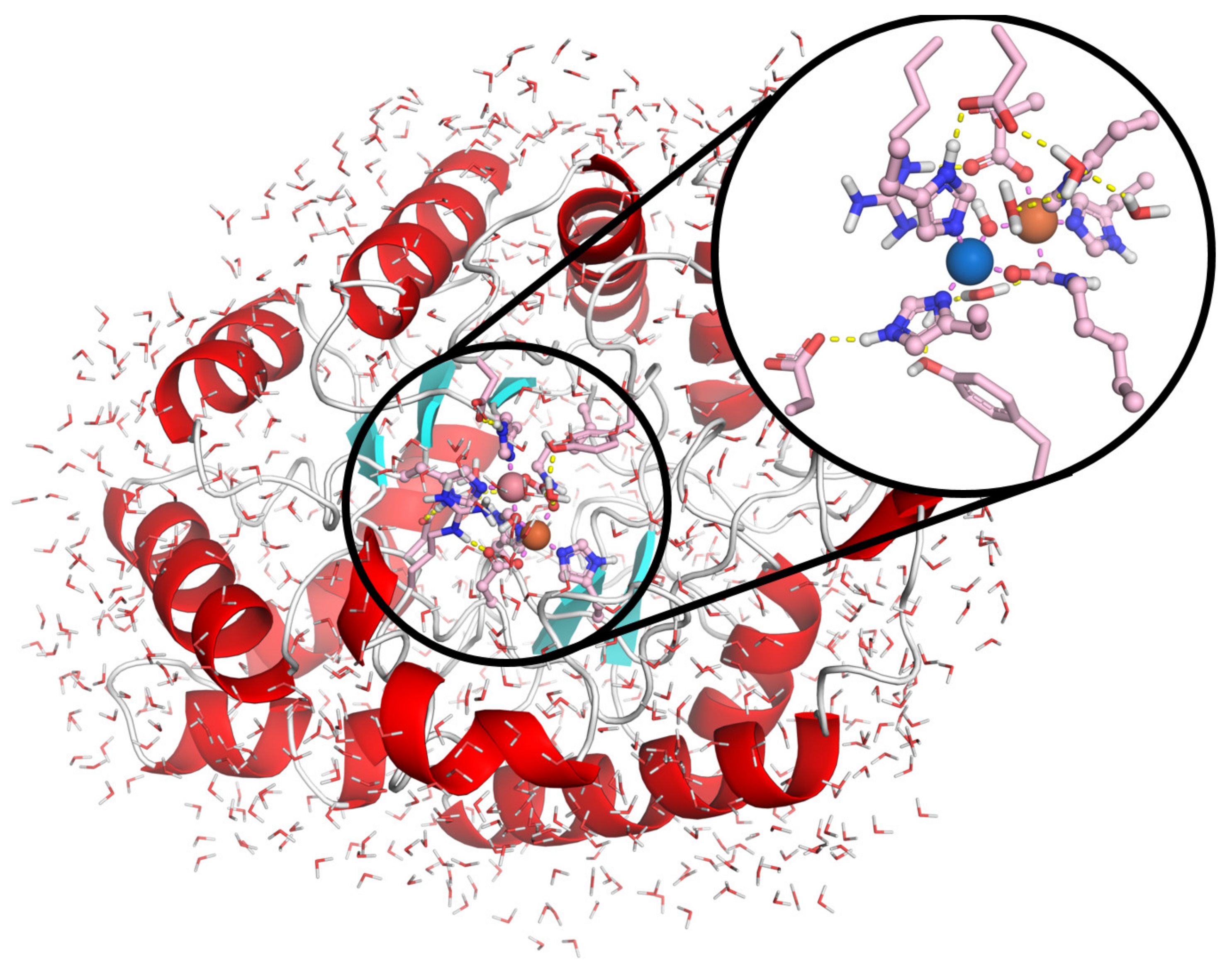Molecules 25 01371 g006