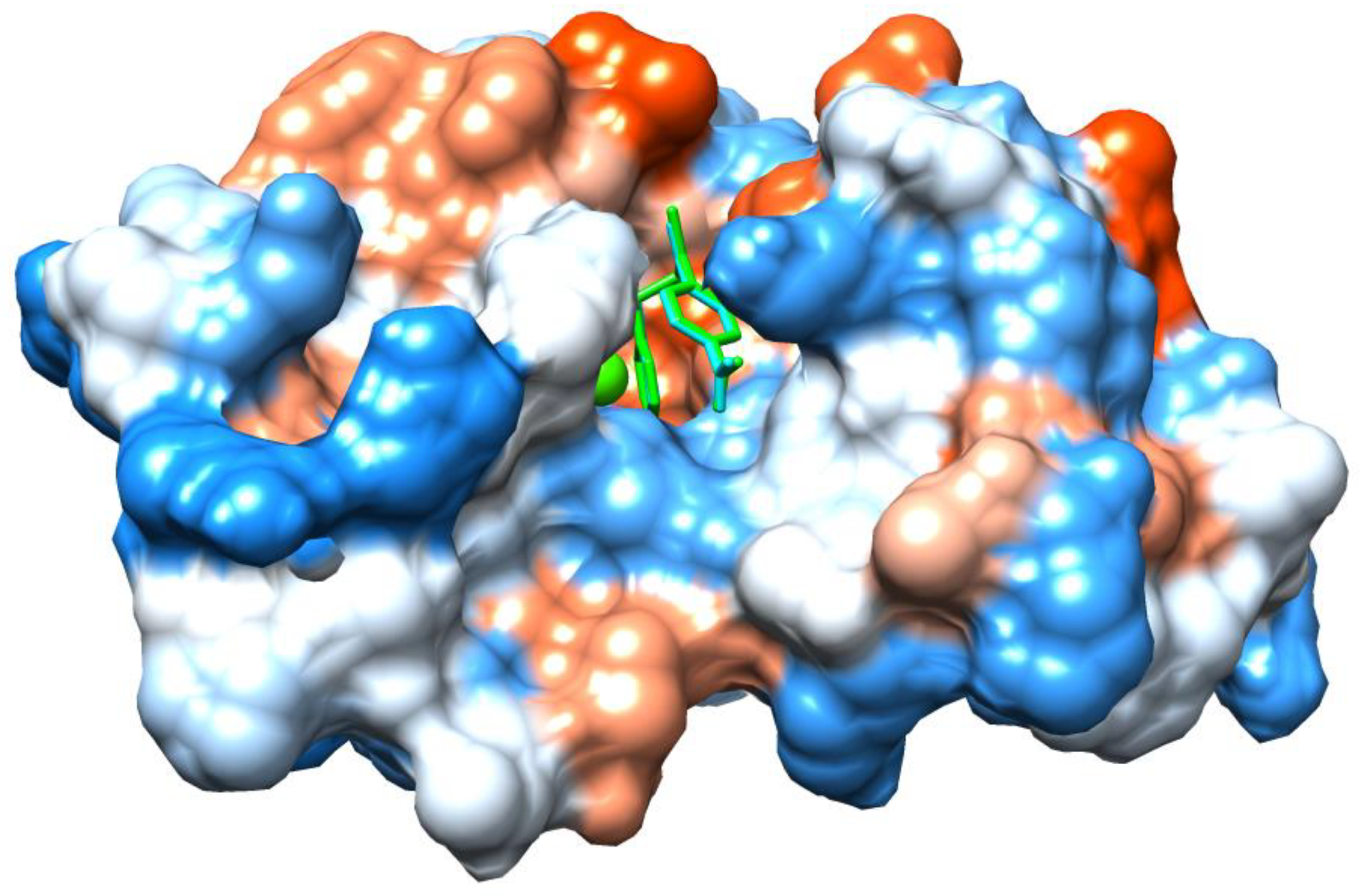 Molecules 25 01373 g006