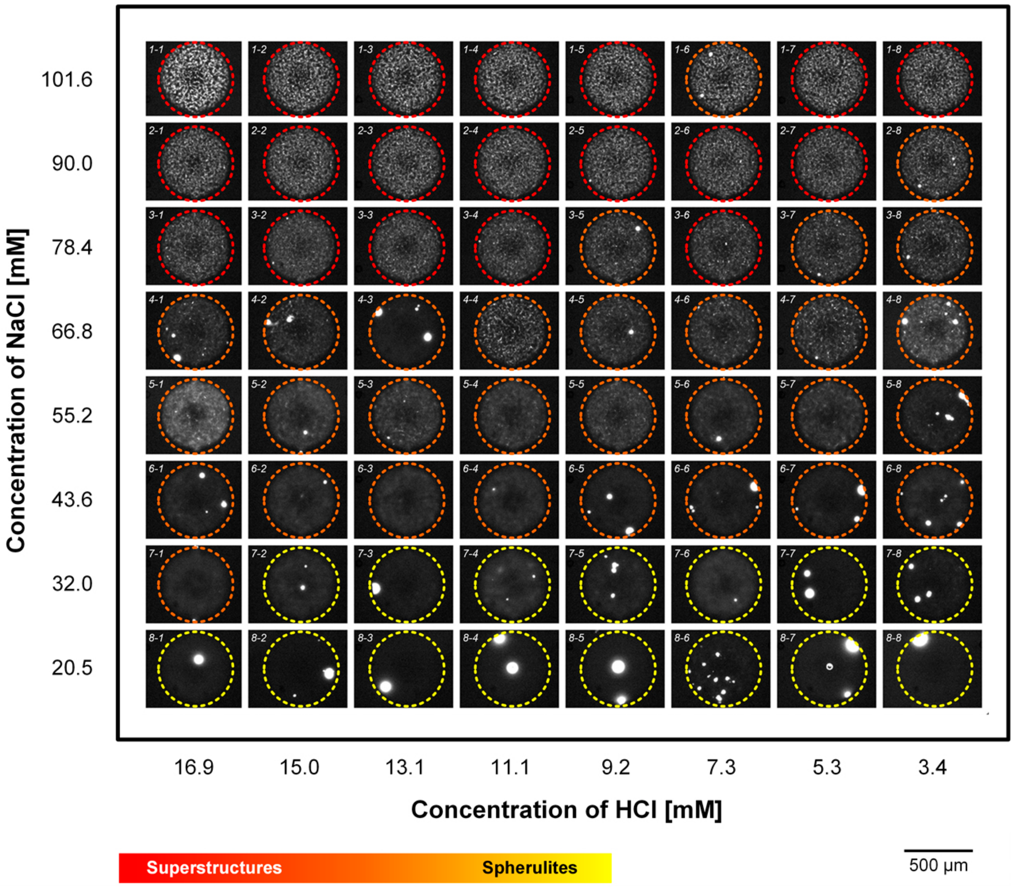 Molecules 25 01380 g006 Molecules 25 01380 g006
