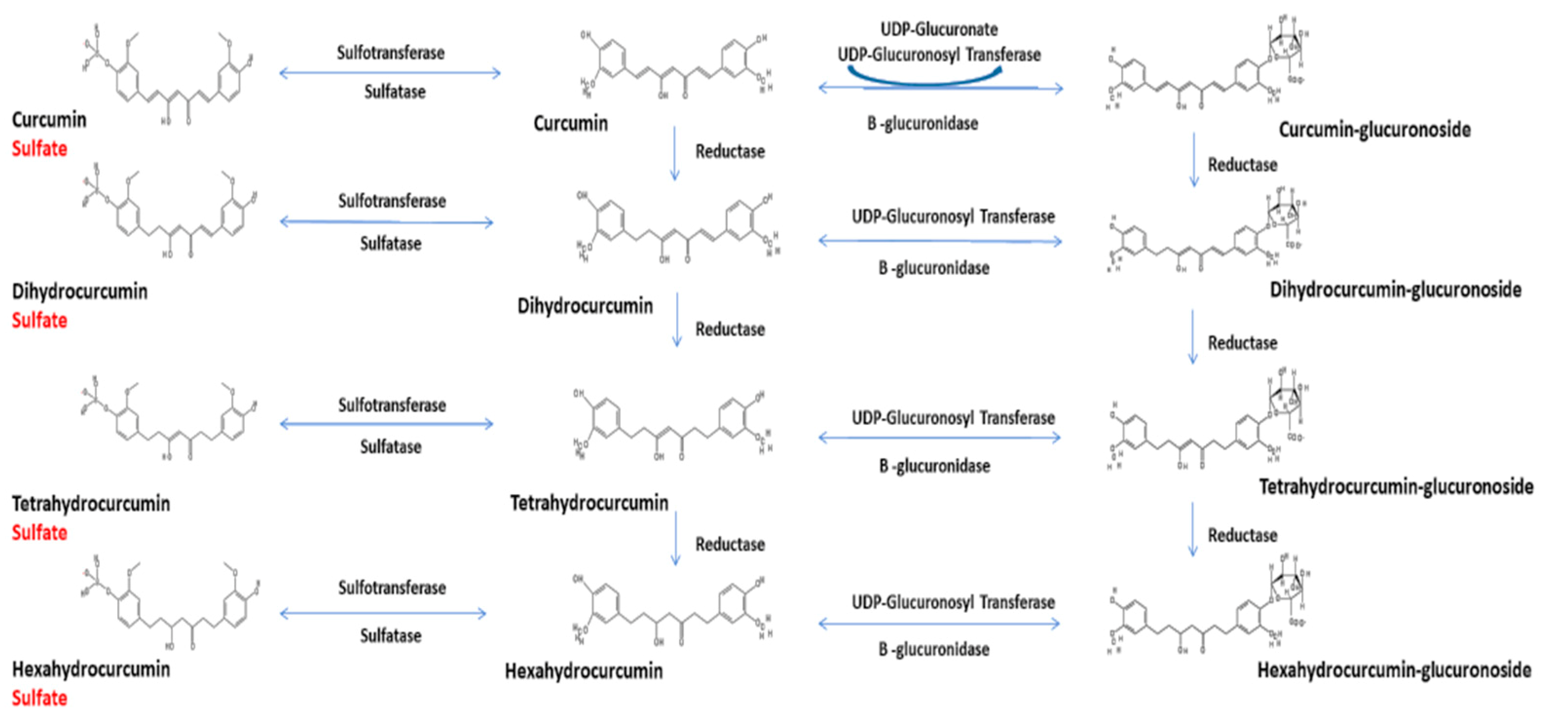 Molecules 25 01397 g001