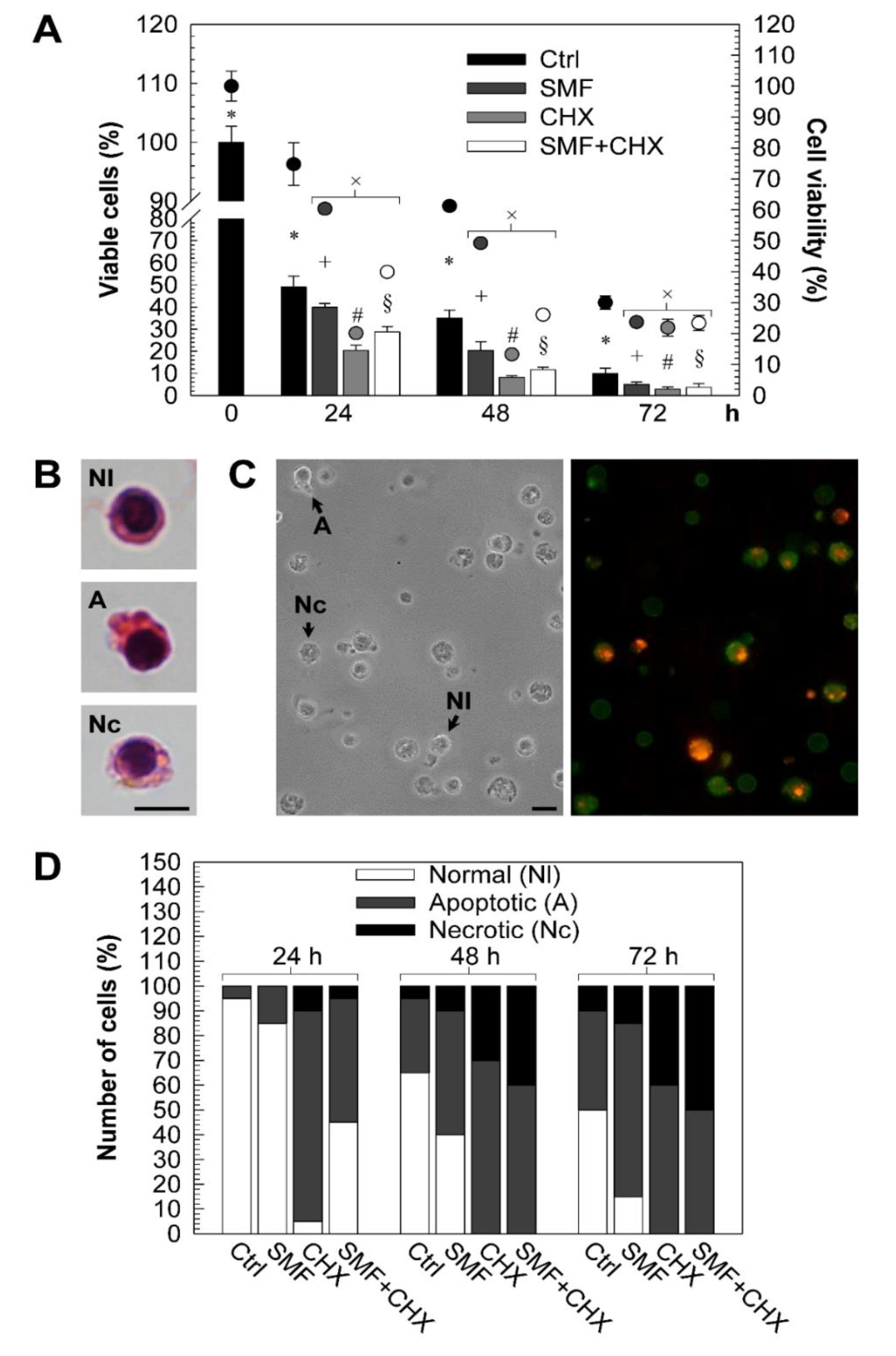 Molecules 25 01398 g001