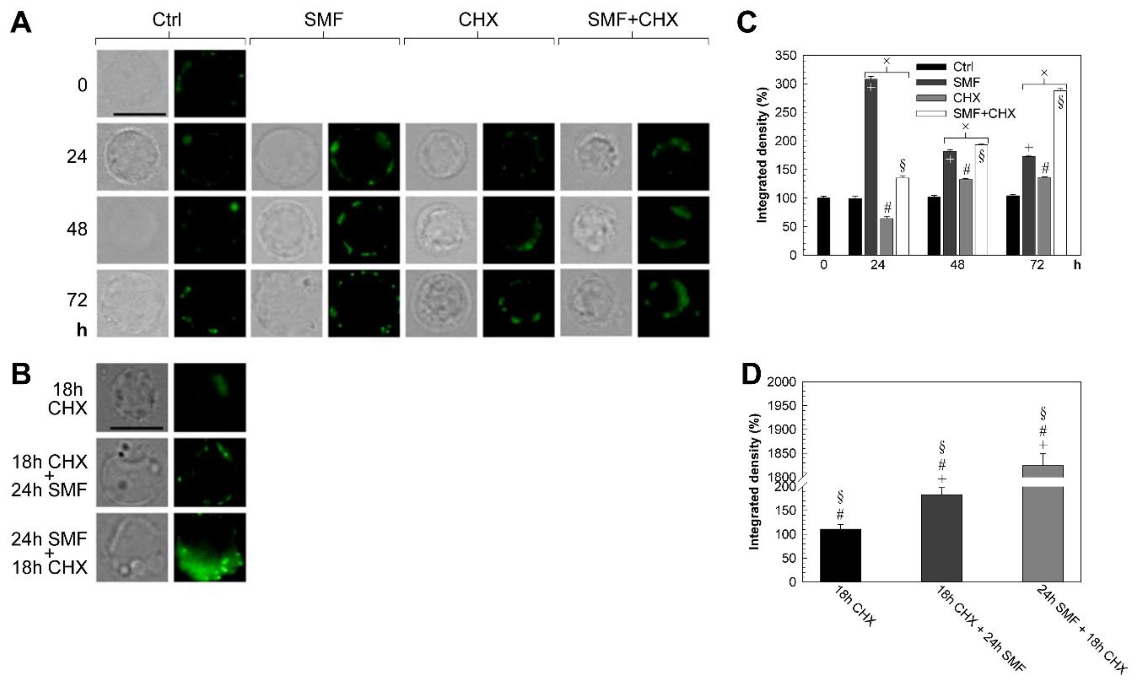Molecules 25 01398 g002a