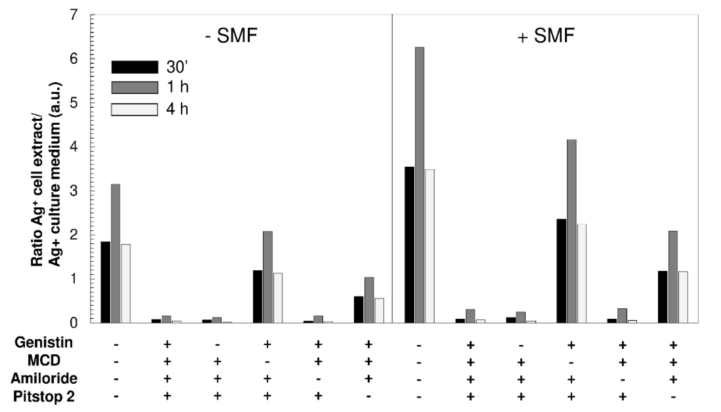 Molecules 25 01398 g005