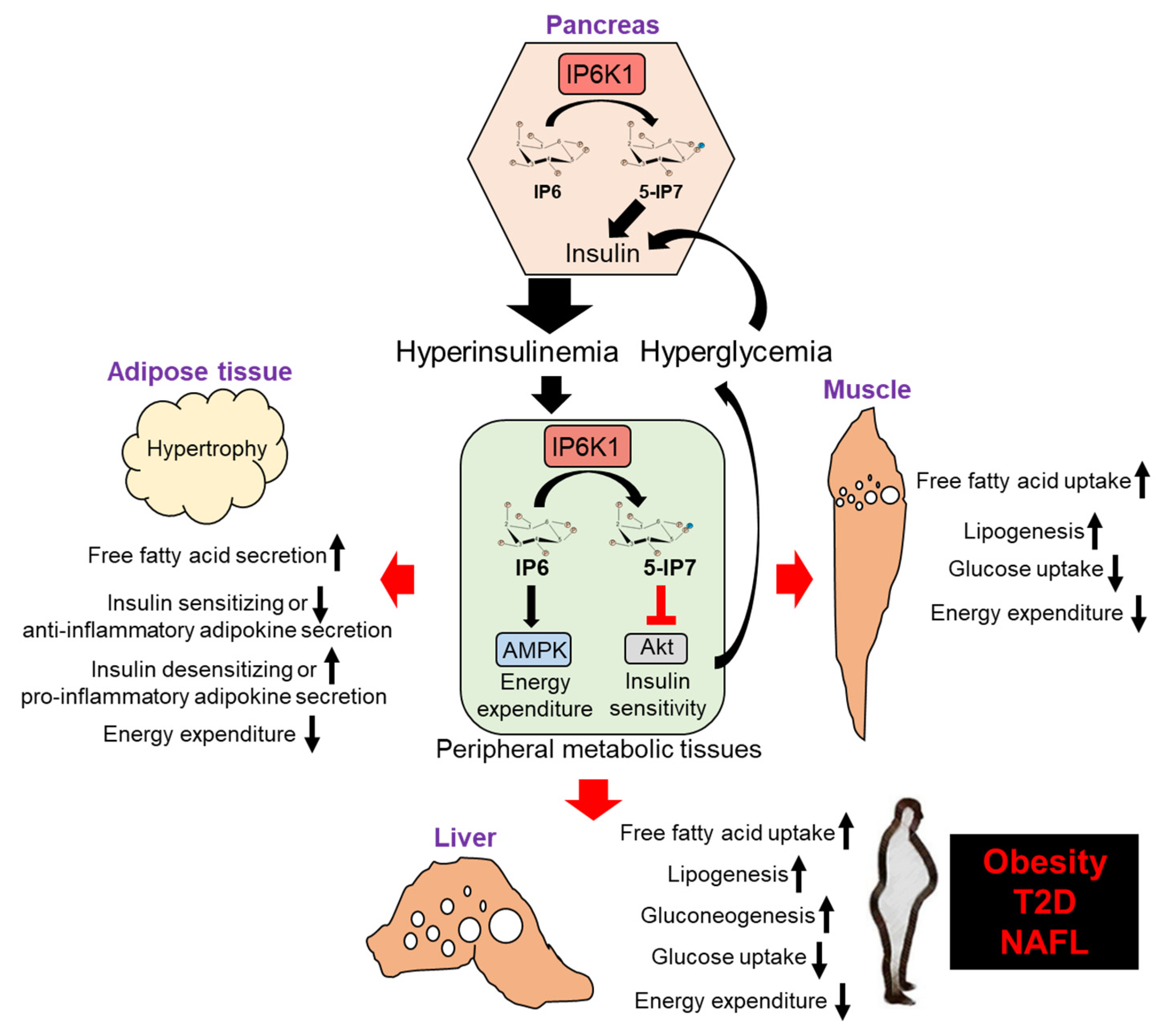 Molecules 25 01403 g002 Molecules 25 01403 g002