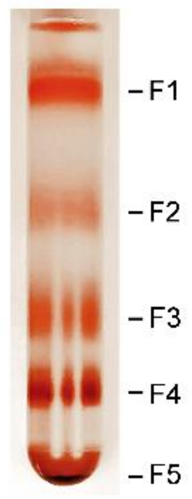 Molecules 25 01413 g001