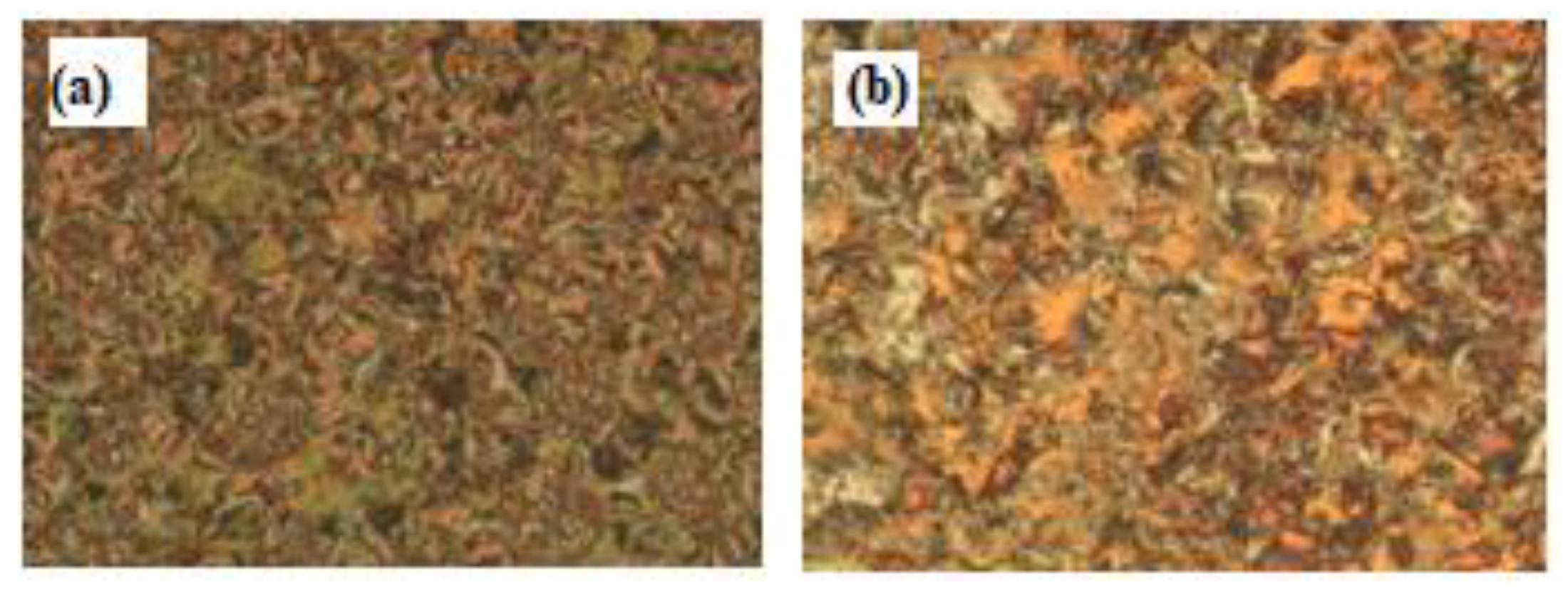 Molecules 25 01420 g007