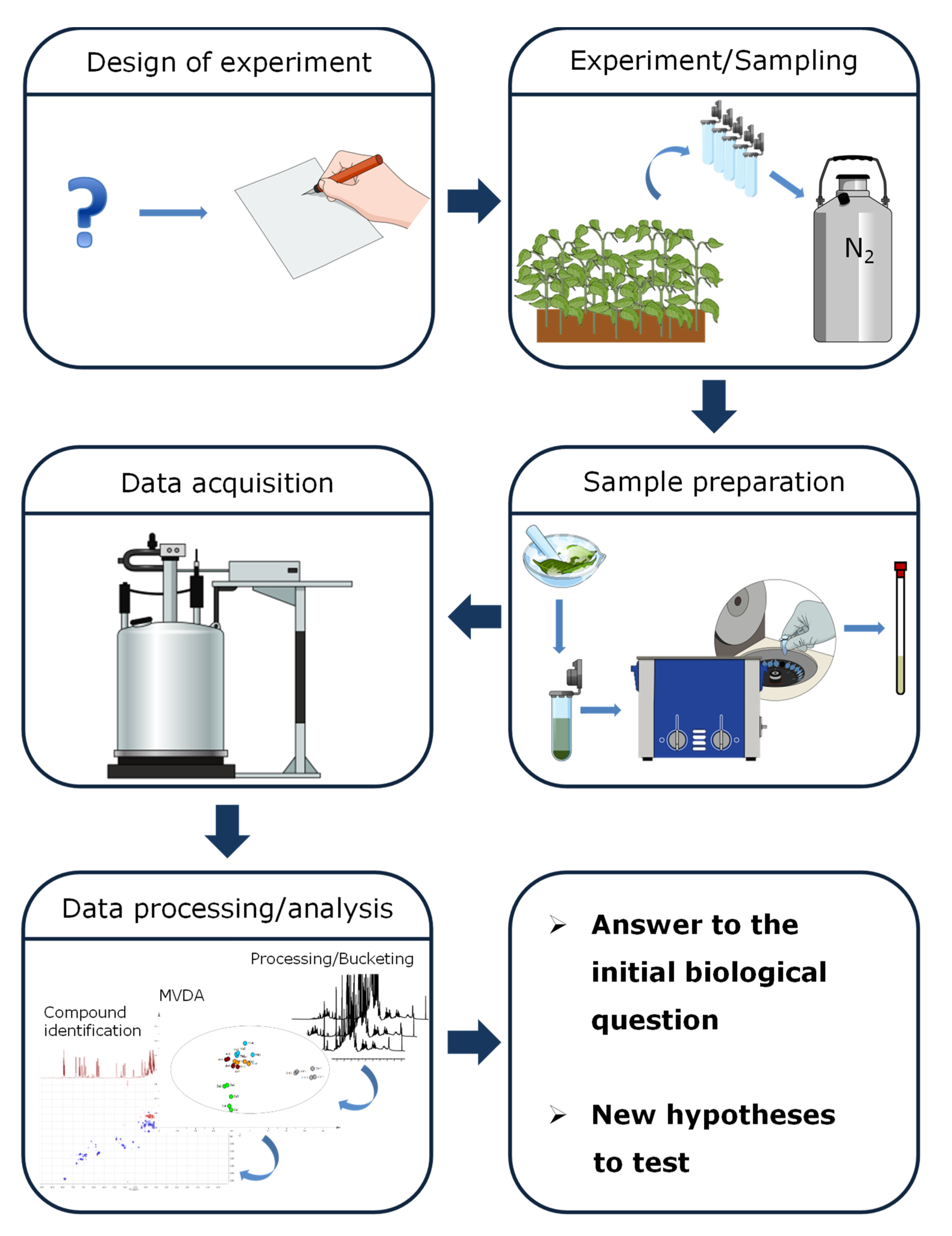 Molecules 25 01444 g001